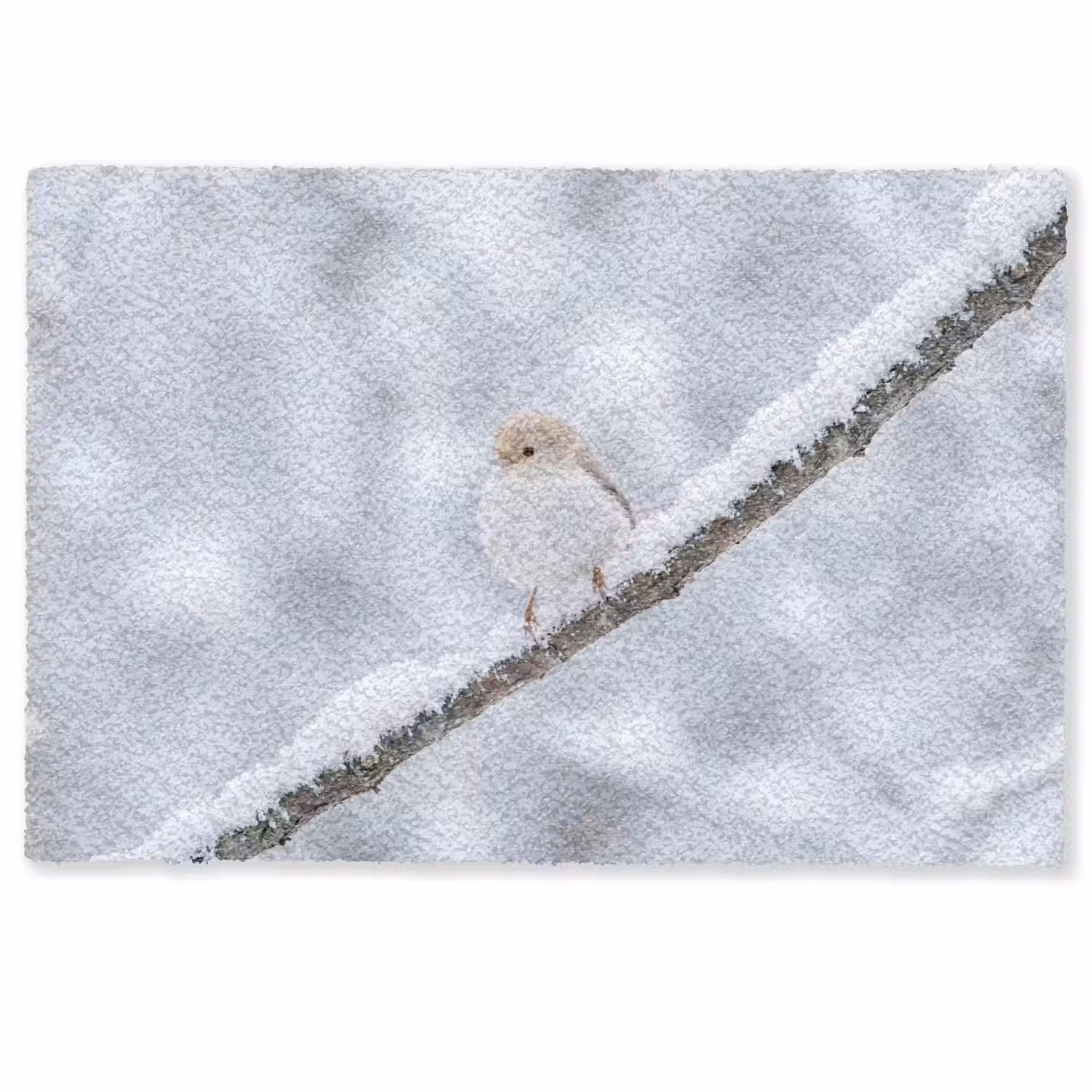 Vogeltje - Sneeuw - Tak - Winter - Zacht Deurmat klein -zkaufland3d