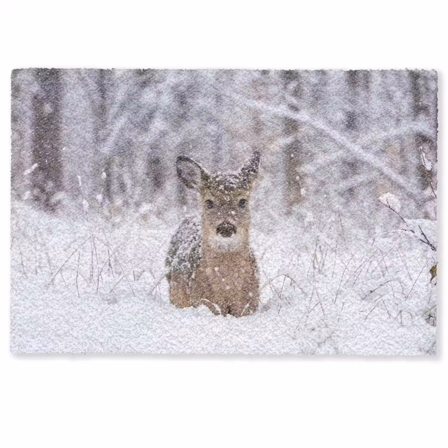 Hert - Sneeuw - Bos - Dieren - Vertederend Deurmat klein -zkaufland3d