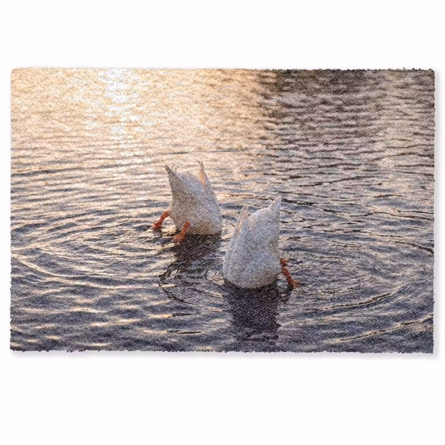 Eenden - Water - Natuur Deurmat klein -zkaufland3d