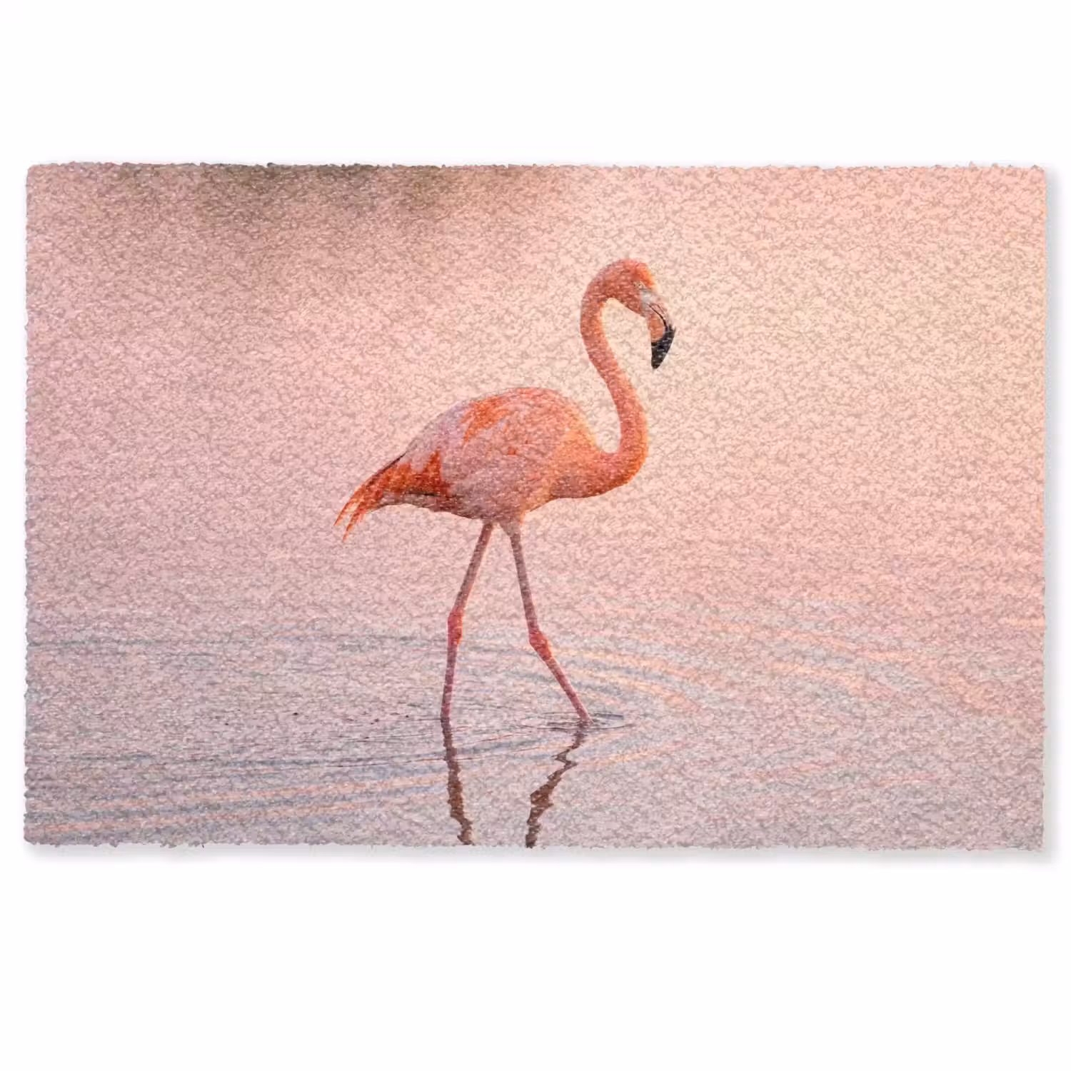 Flamingo - Water - Roze Deurmat klein -zkaufland3d