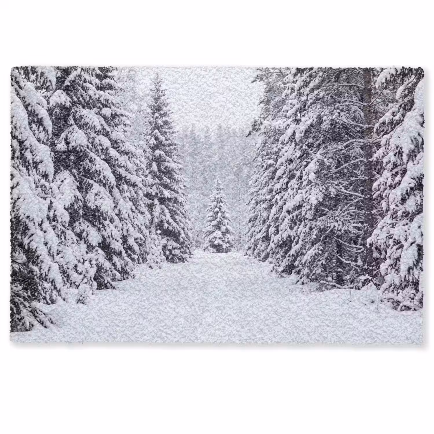 Bos - Winter - Sneeuw - Pad - Natuur Deurmat klein -zkaufland3d