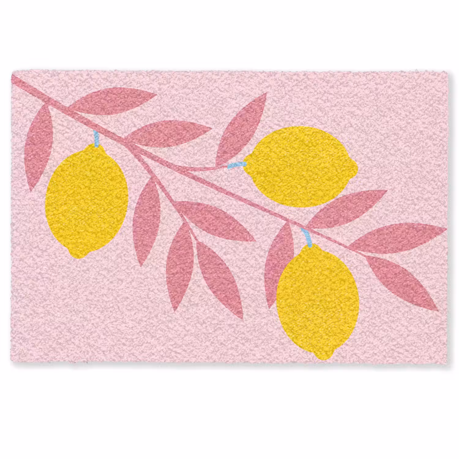 Fruit - Tak - Natuur - Abstract - Roze Deurmat klein -zkaufland3d