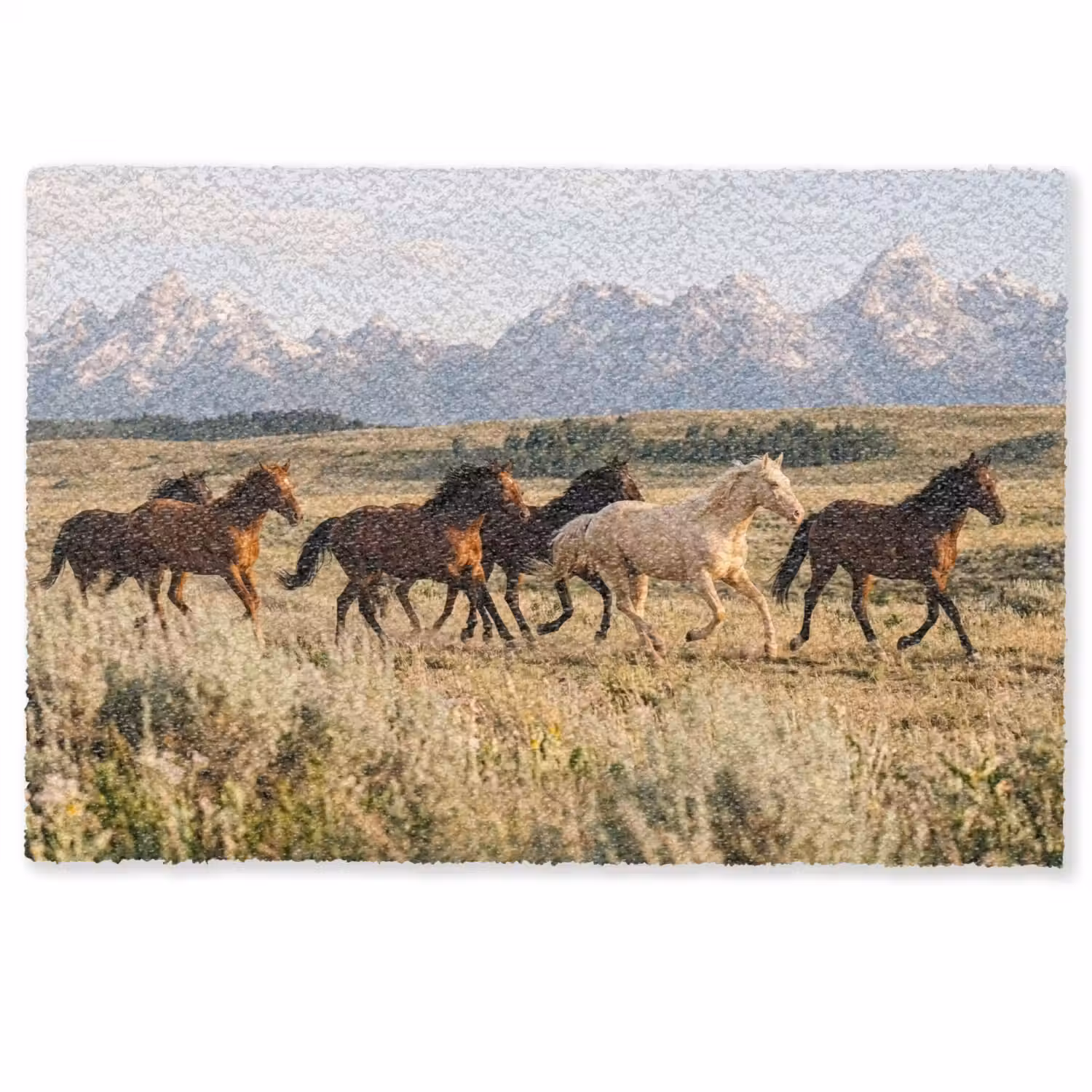 Paarden - Kudde - Bergen - Vrijheid - Wild Deurmat klein -zkaufland3d