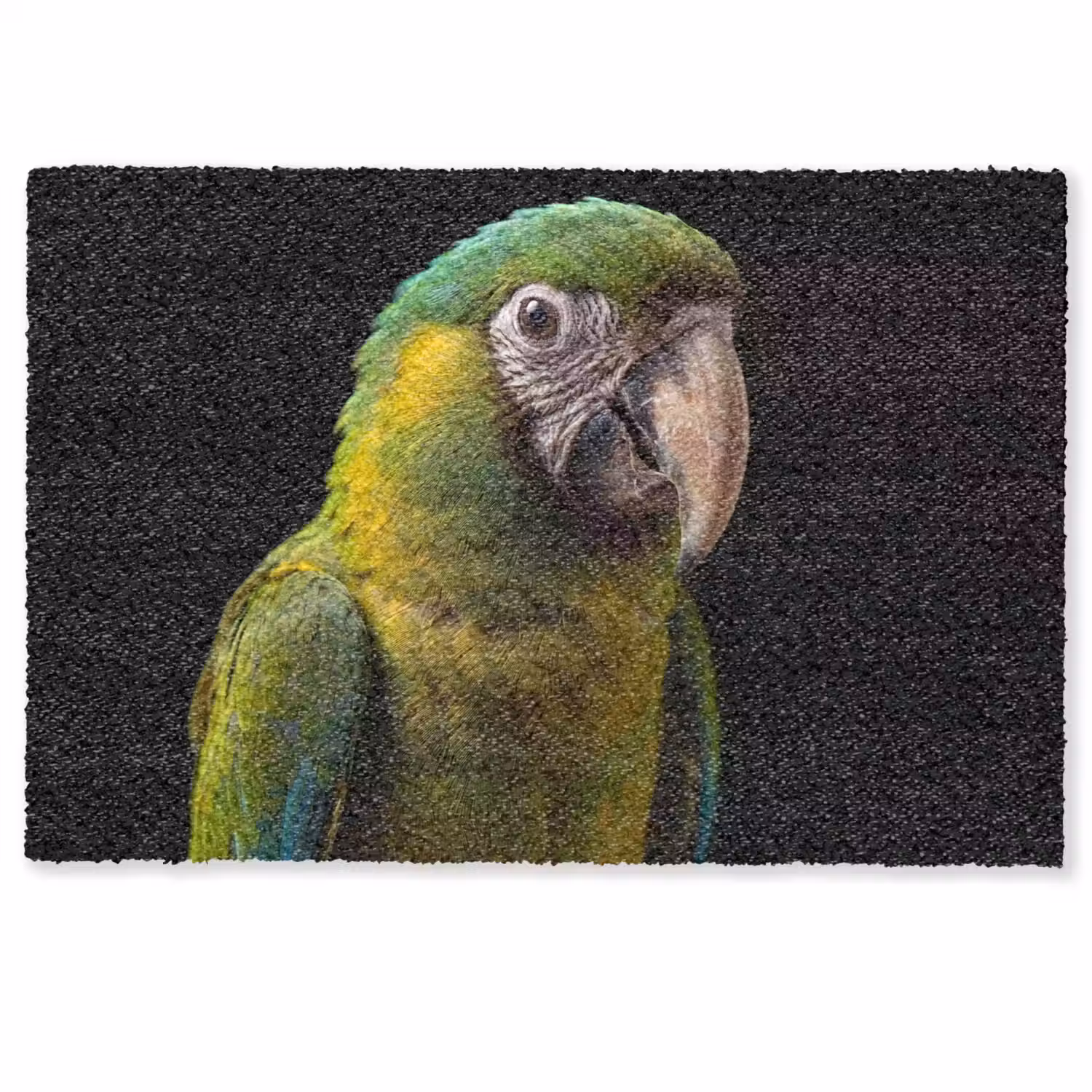 Ara - Portret - Groen Deurmat klein -zkaufland3d