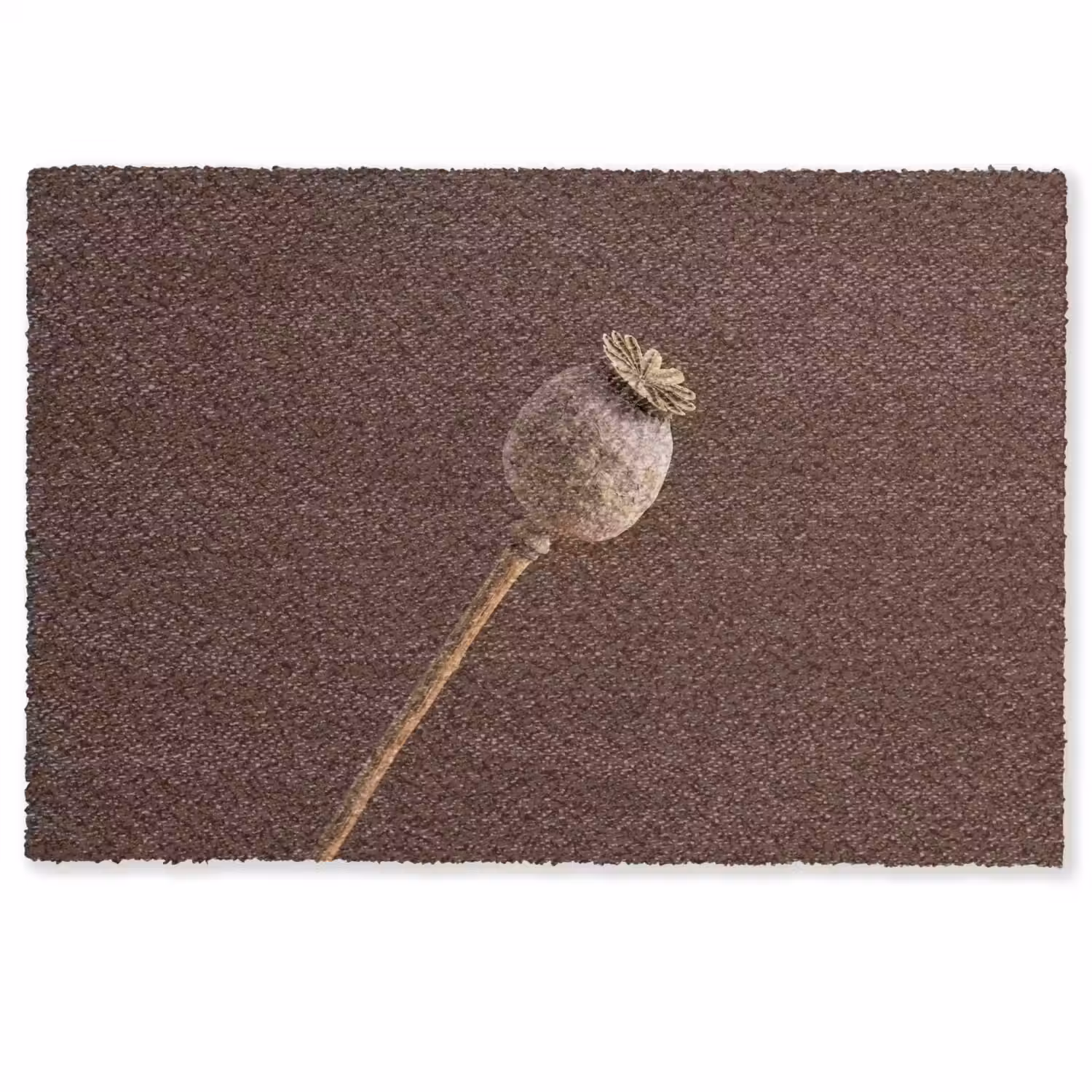 Papaverbol - Droogbloem - Bruin - Minimalistisch Deurmat klein -zkaufland3d