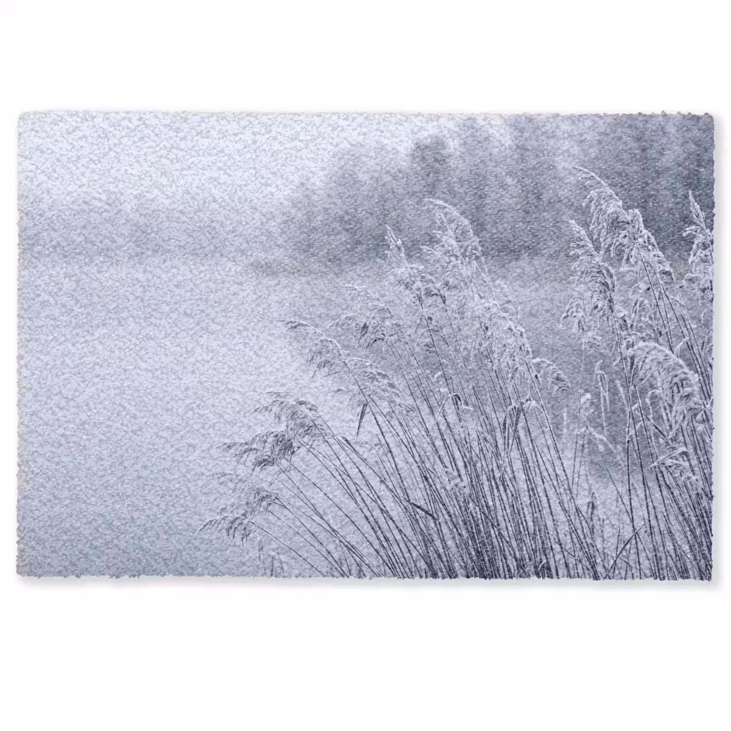 Riet - Bevroren - Winter - Natuur Deurmat klein -zkaufland3d