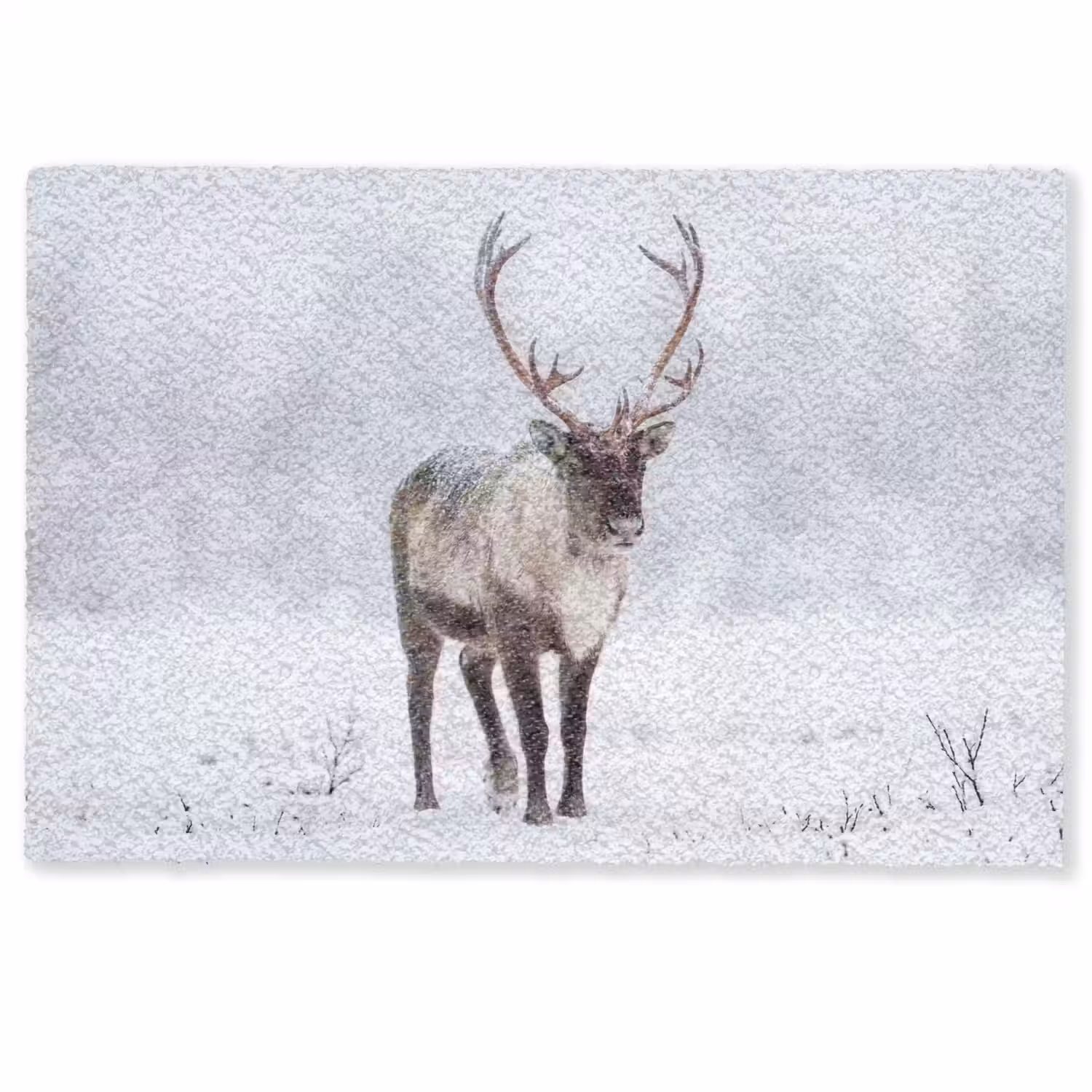 Rendier - Gewei - Toendra - Sneeuw - Wild Deurmat klein -zkaufland3d