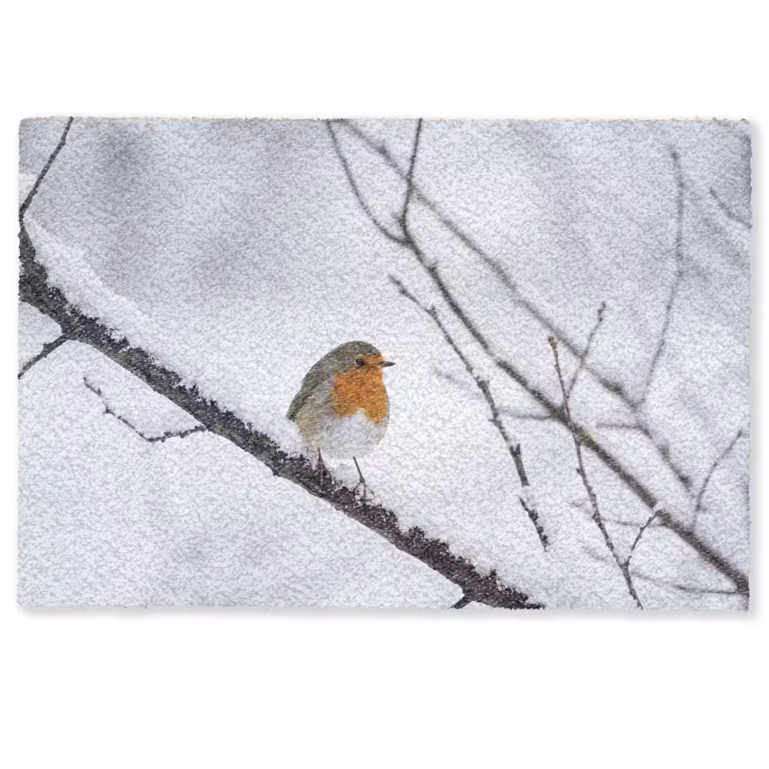 Roodborstje - Tak - Sneeuw - Winter - Levendig Deurmat klein -zkaufland3d