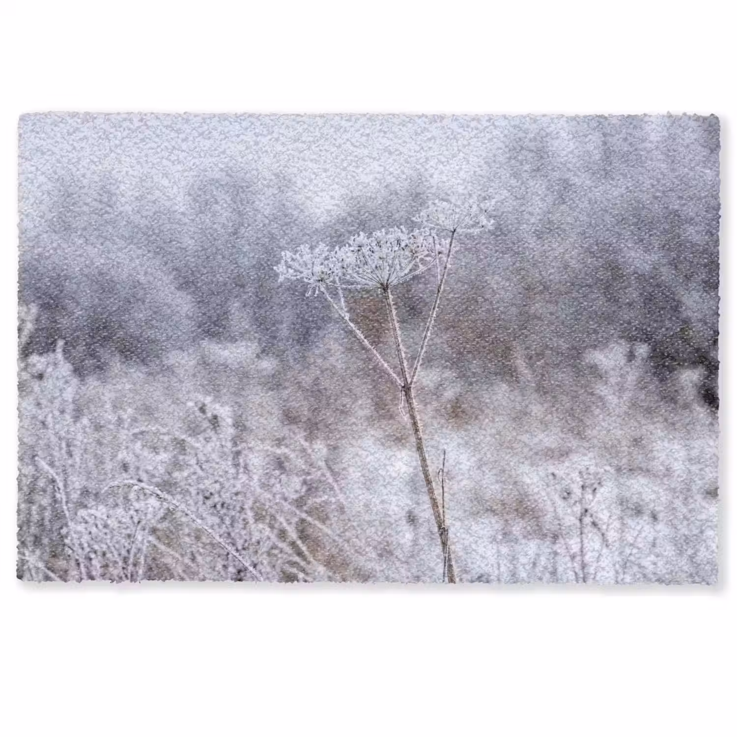 Schermbloem - Rijp - Kristallen - Winter - Delicaat Deurmat klein -zkaufland3d