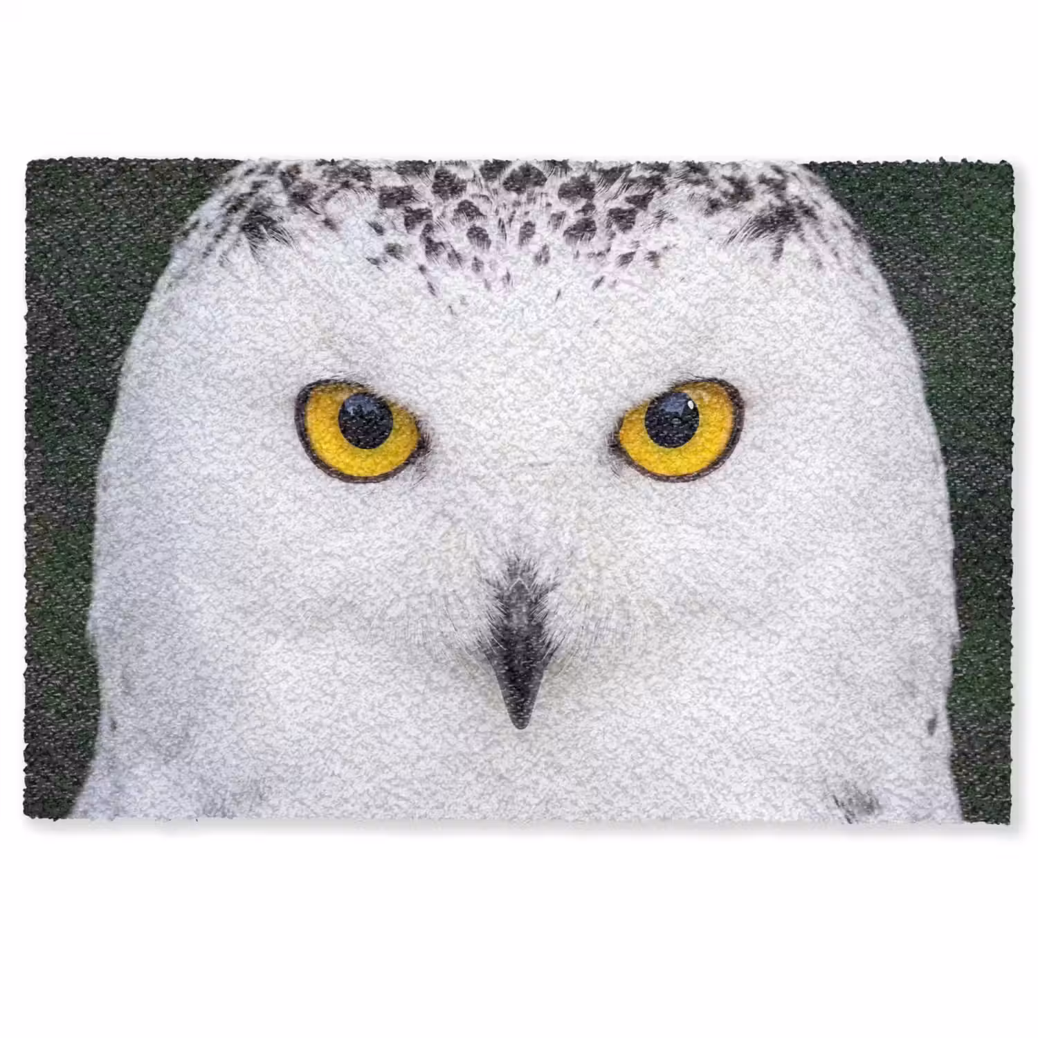 Sneeuwuil - Portret - Geel Deurmat klein -zkaufland3d