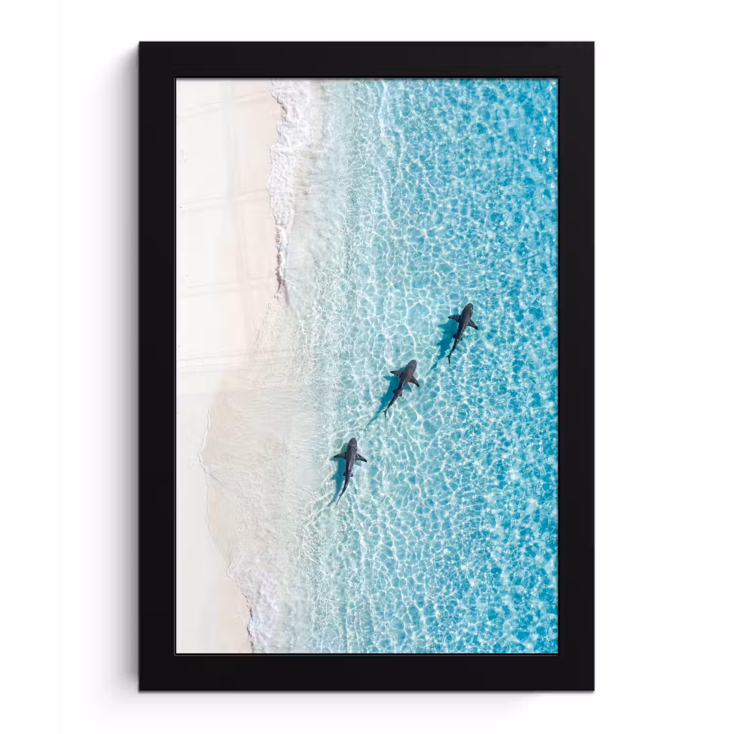 Vis - Oceaan - Strand - Turquoise - Natuur fotolijst zwart zonder passe partout klein -3d