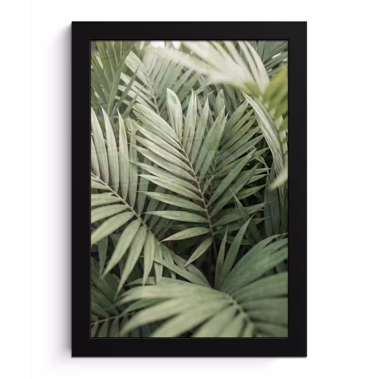 Plant - Palmbladeren - Natuur - Groen fotolijst zwart zonder passe partout klein -3d