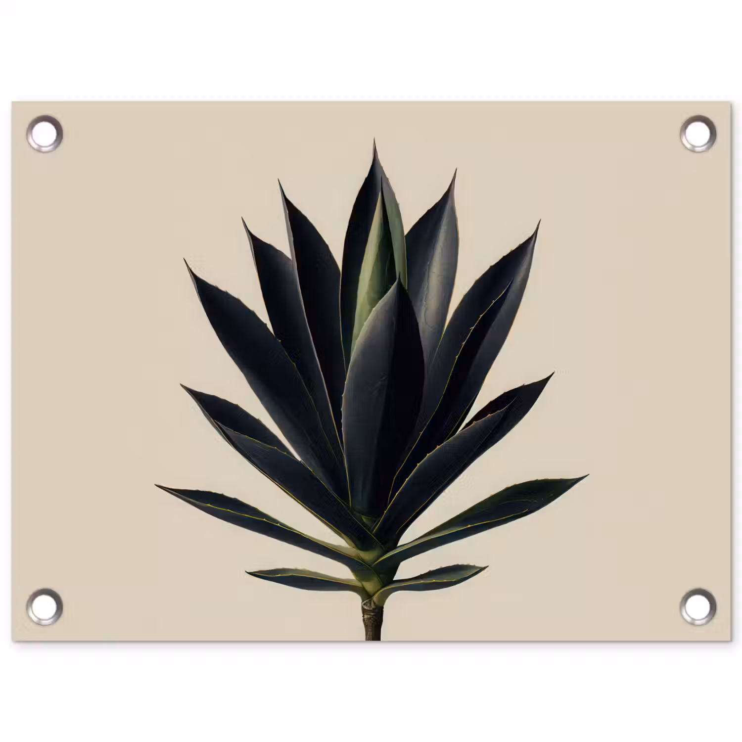 Agaveplant - Symmetrisch - Groen tuinposter los doek klein -3d