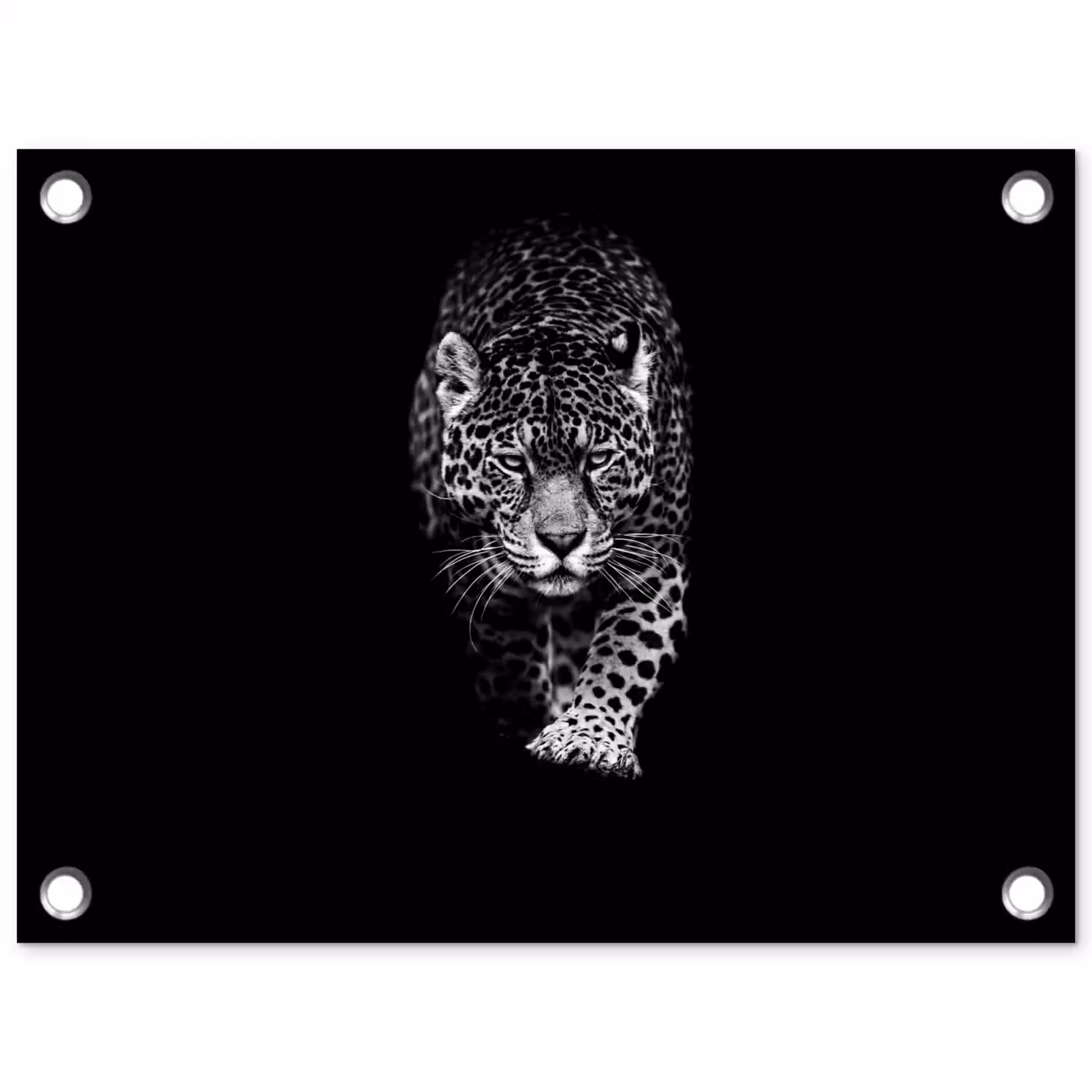 Dieren - Zwart - Luipaard - Wit - Wild tuinposter los doek klein -3d