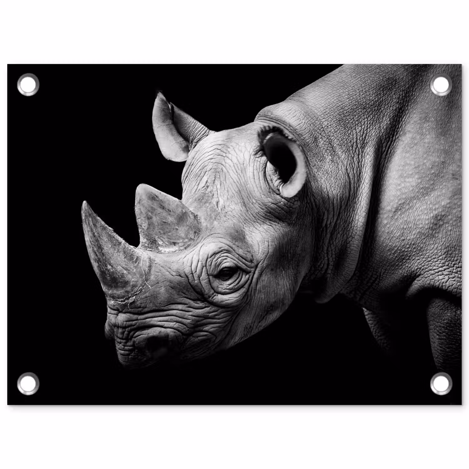 Dieren - Neushoorn - Zwart - Wit - Portret tuinposter los doek klein -3d