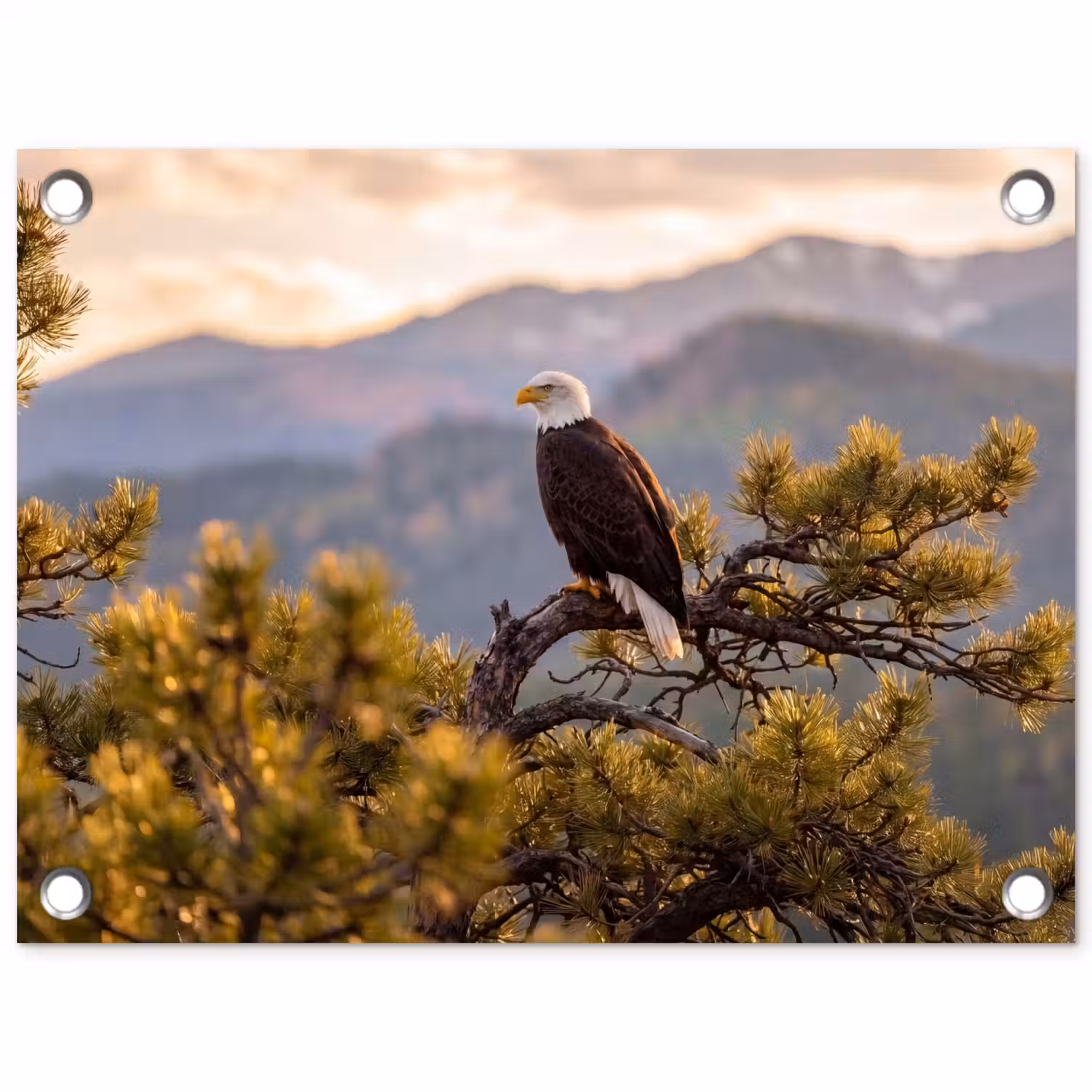 Zeearend - Boom - Bergen - Groen tuinposter los doek klein -3d