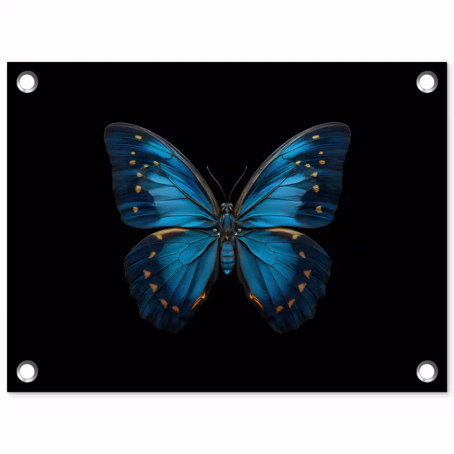 Vlinder - Blauw - Contrast tuinposter los doek klein -3d