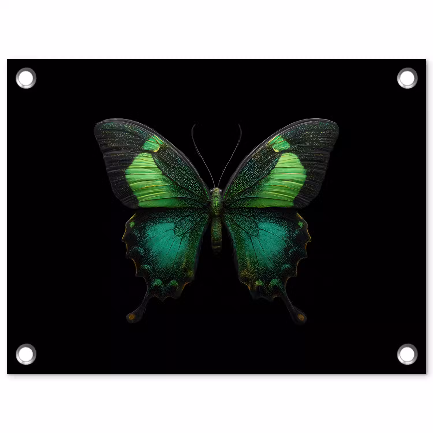 Vlinder - Groen - Opvallend tuinposter los doek klein -3d