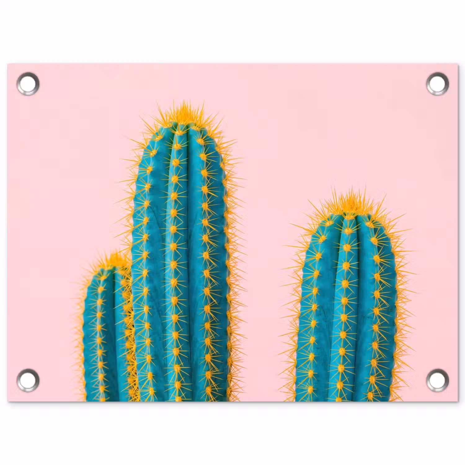 Cactussen - Modern - Pastel tuinposter los doek klein -3d