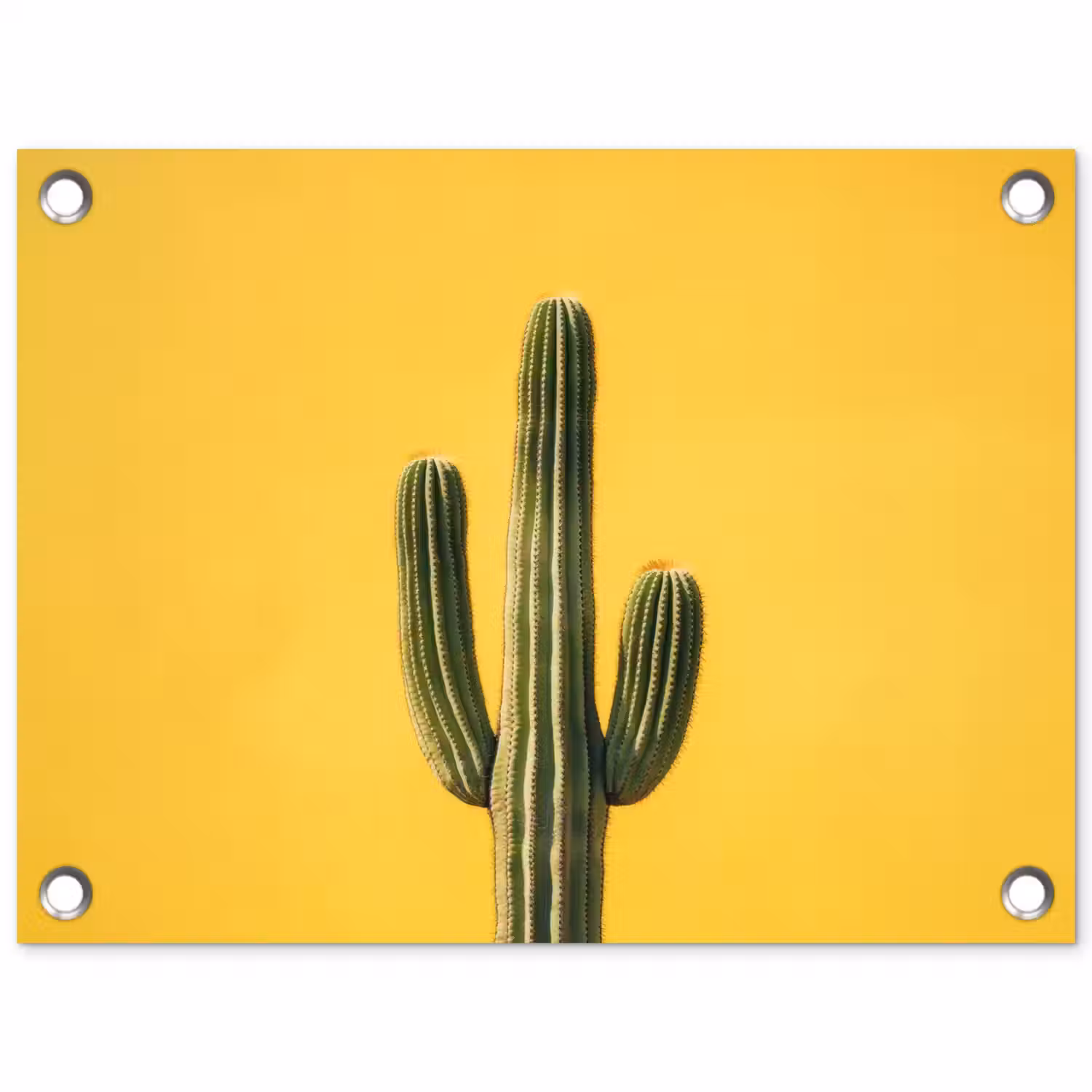 Cactus - Groen - Minimalistisch tuinposter los doek klein -3d