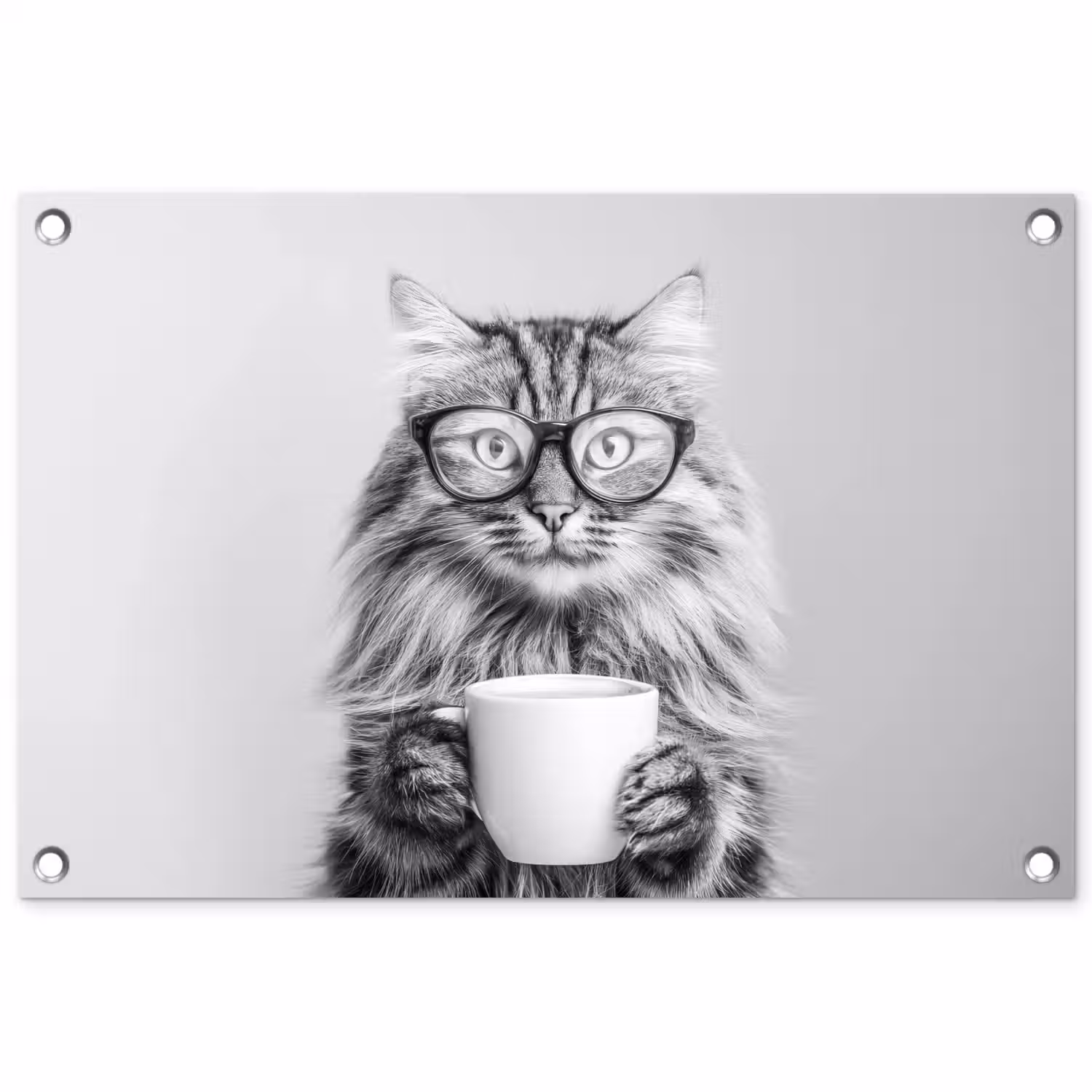 Kat - Bril - Mok - Pluizig tuinposter los doek klein -3d