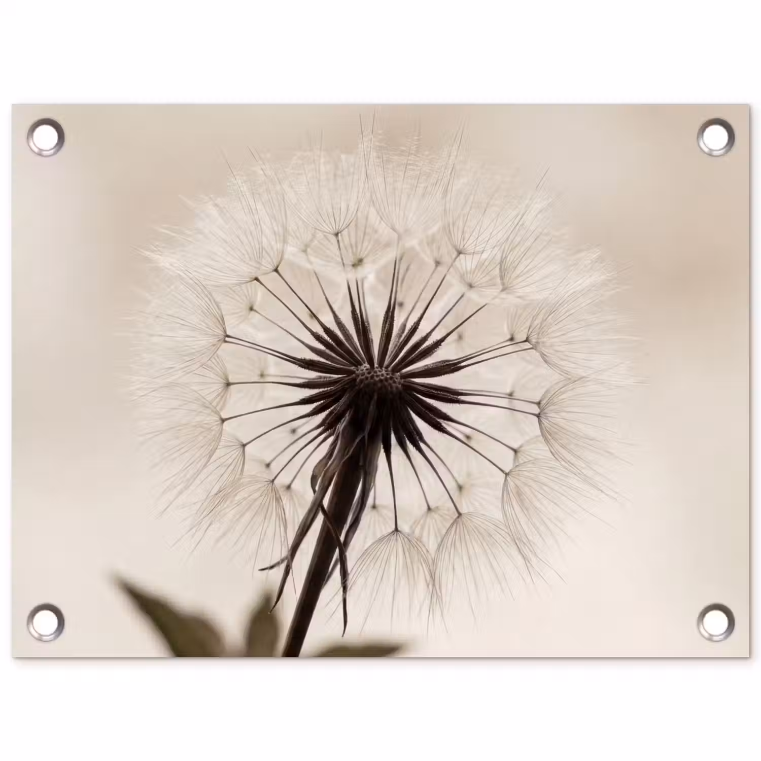 Paardenbloem - Minimalistisch - Wit tuinposter los doek klein -3d