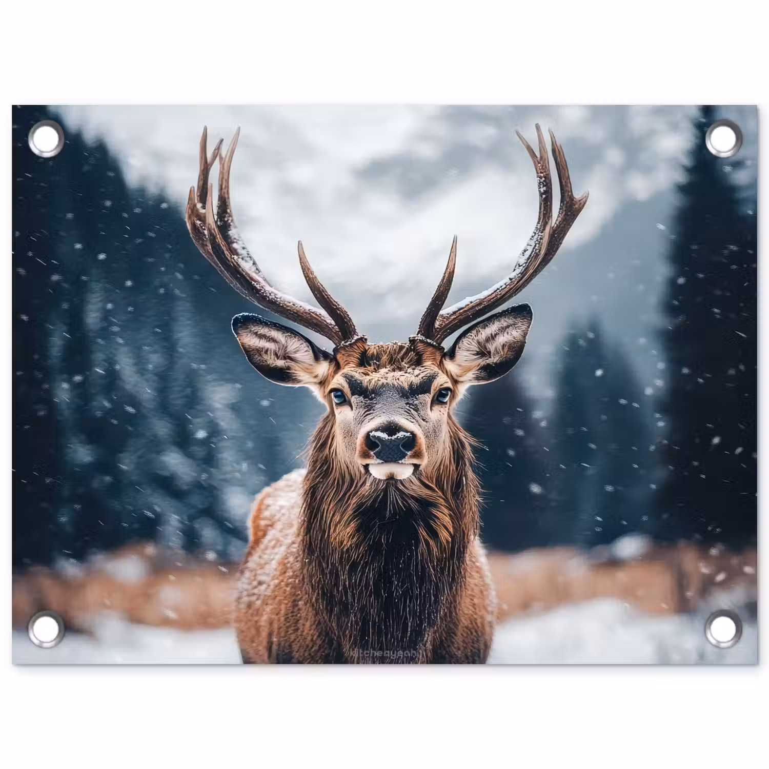 Hert - Winter - Hertenkop - Sneeuw - Gewei tuinposter los doek klein -3d