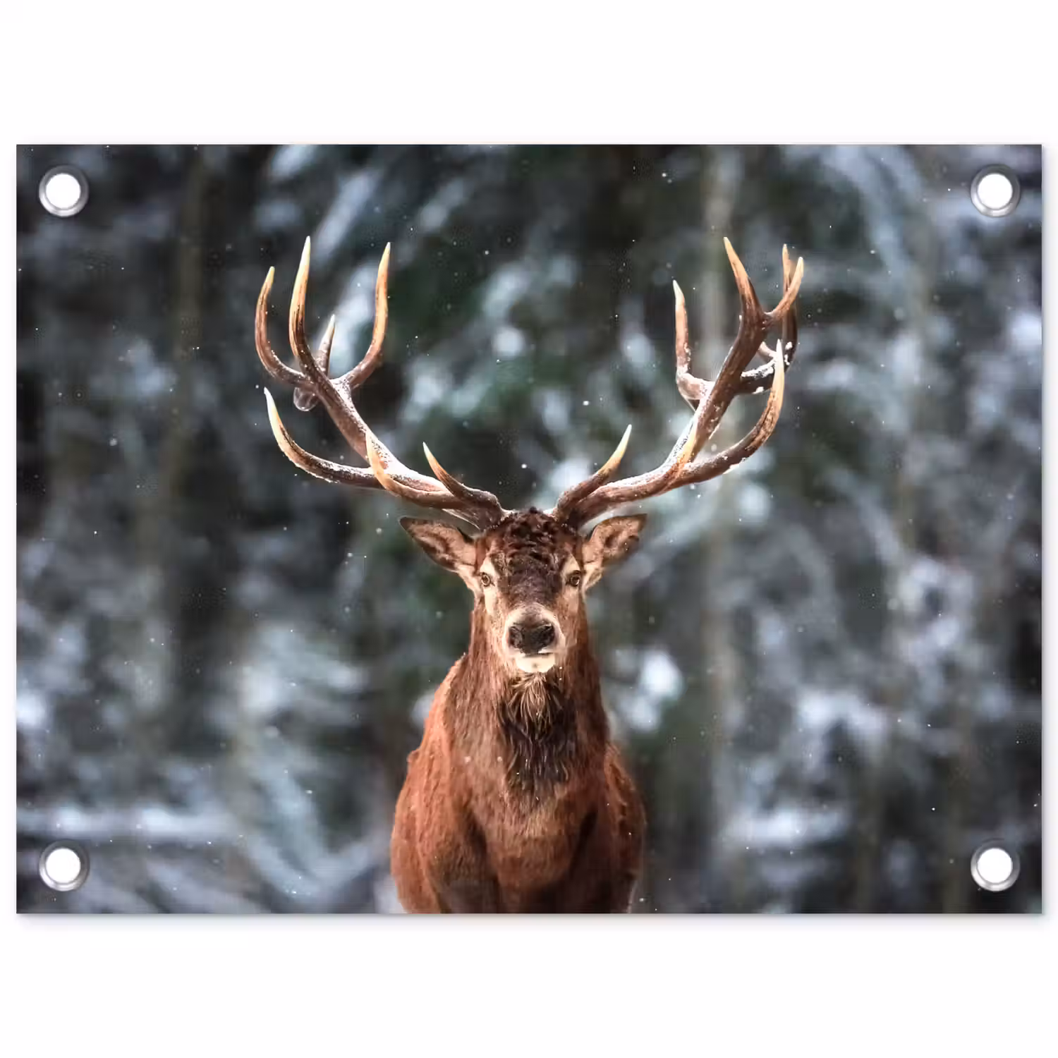 Hert - Winter - Sneeuw - Bos - Natuur - Dier tuinposter los doek klein -3d