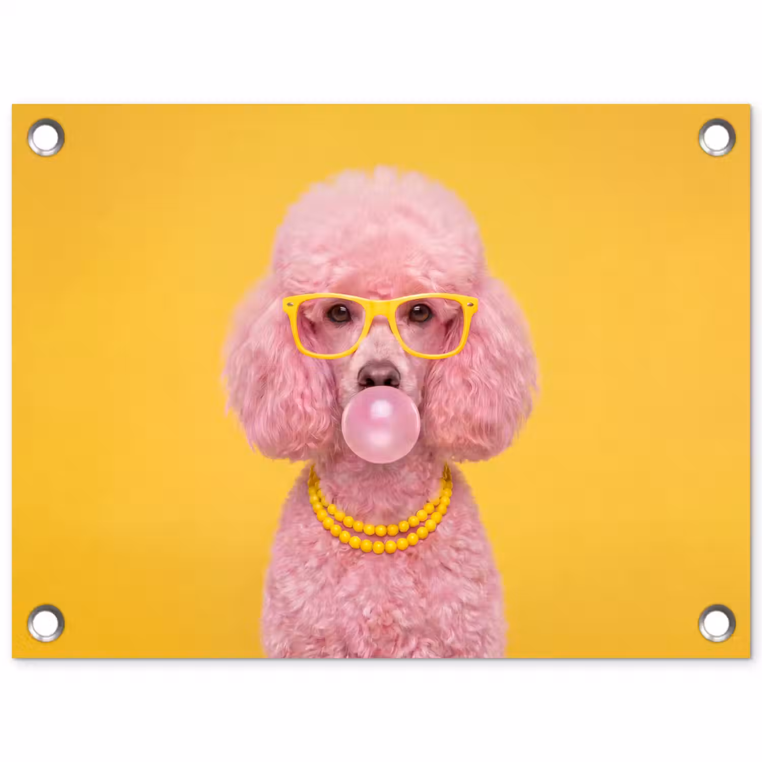 Hond - Kauwgum - Dieren - Modern - Roze tuinposter los doek klein -3d
