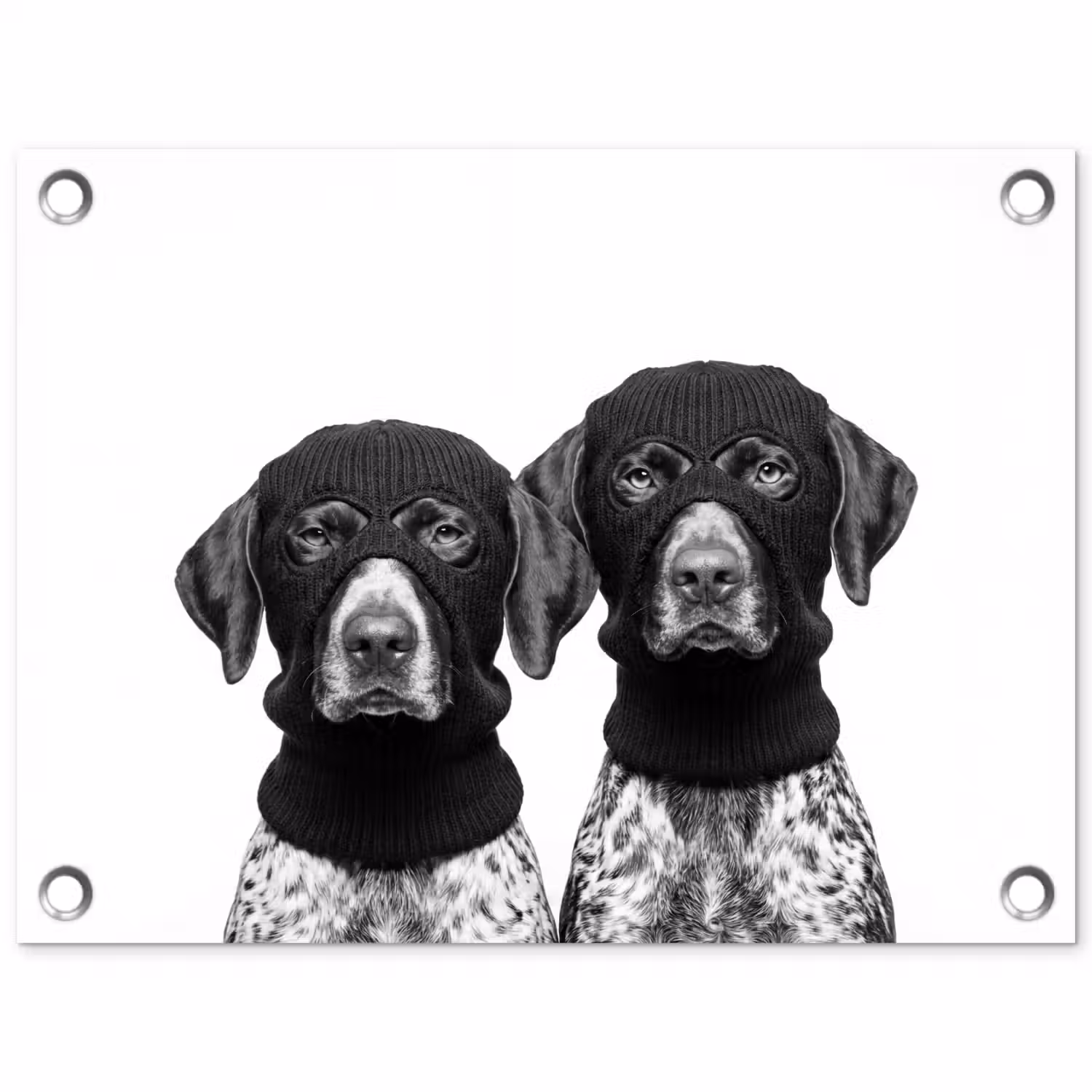 Honden - Bivakmuts - Zwart - wit tuinposter los doek klein -3d
