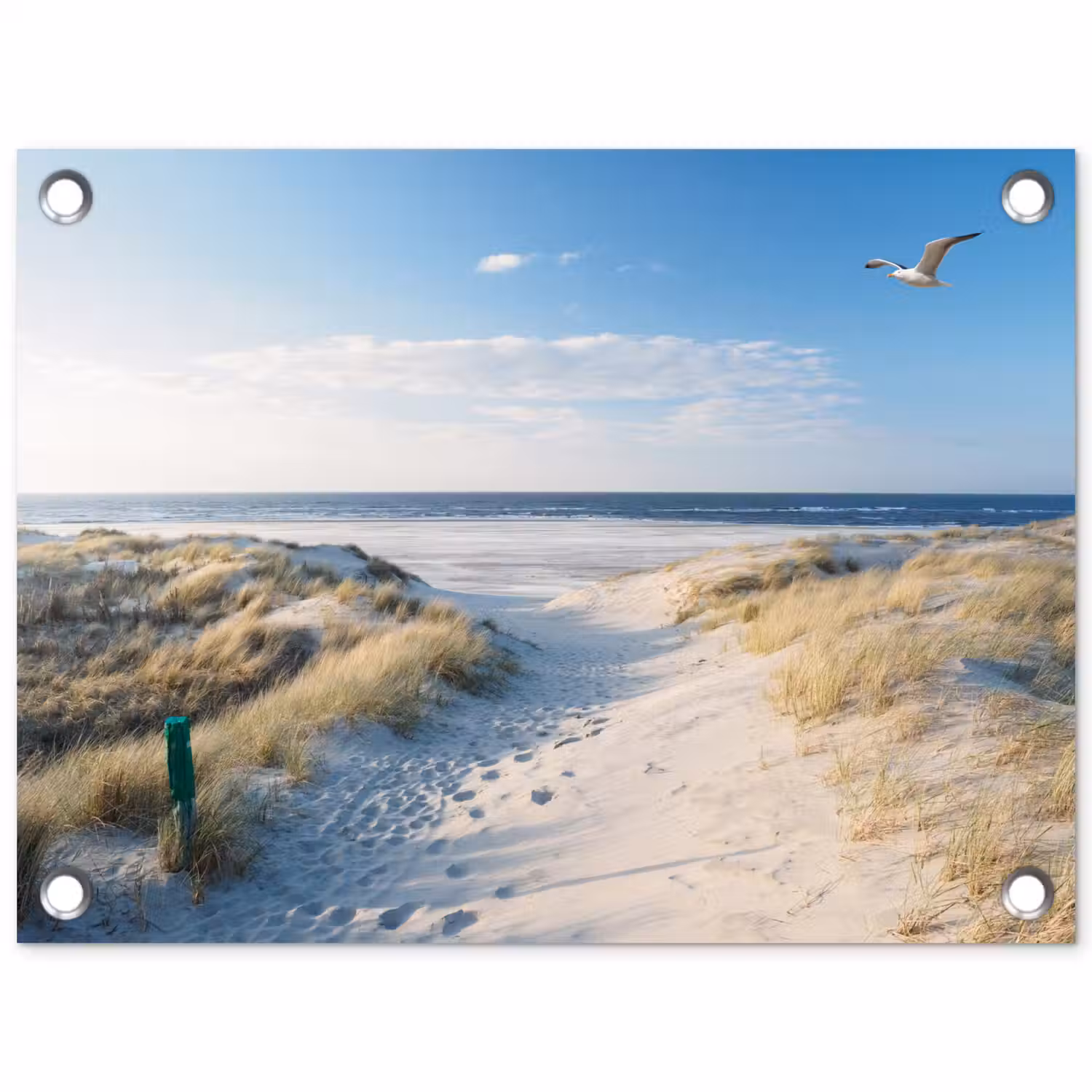 Duin - Meeuw - Strand - Zee - Zon tuinposter los doek klein -3d
