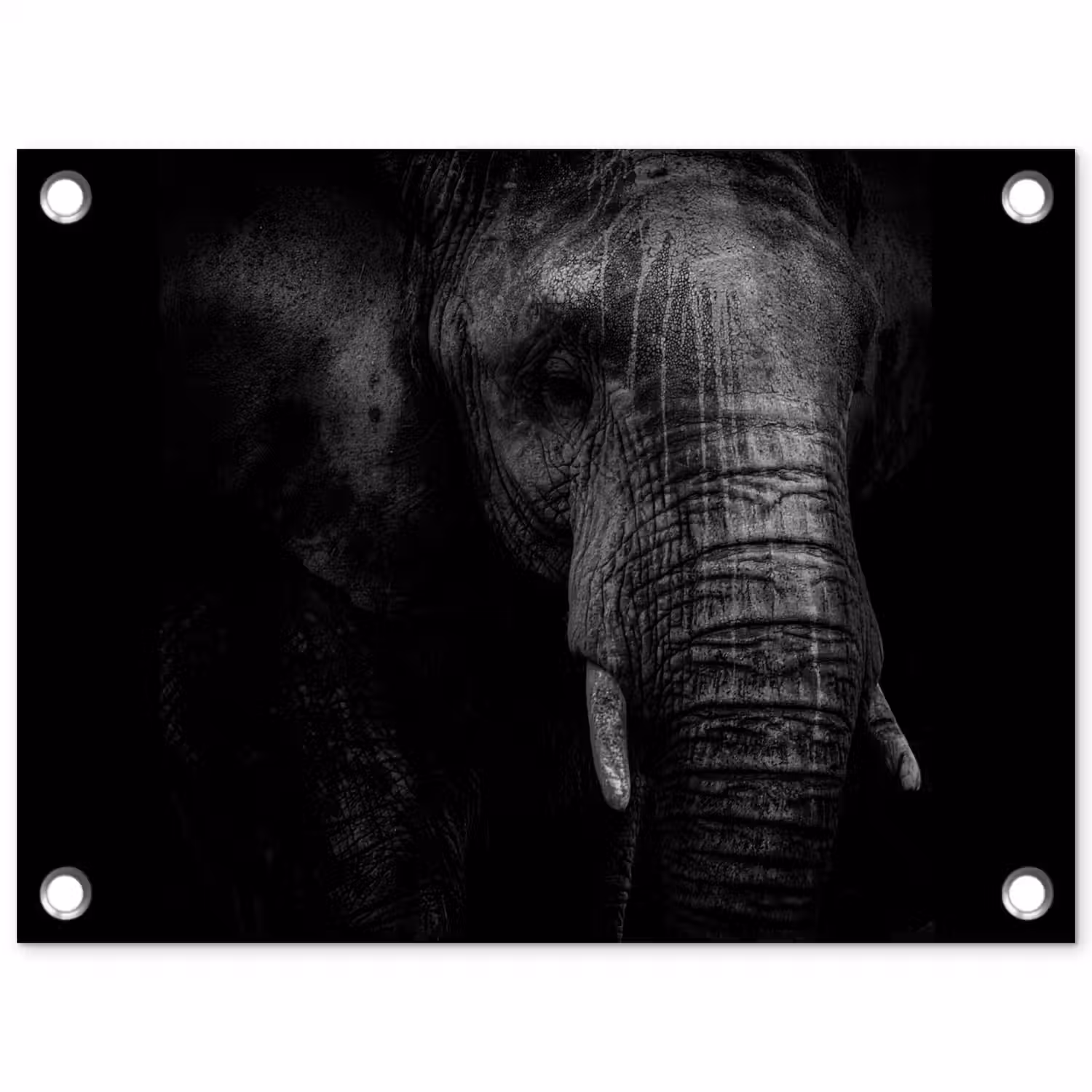 Olifant - Dier - Portret tuinposter los doek klein -3d