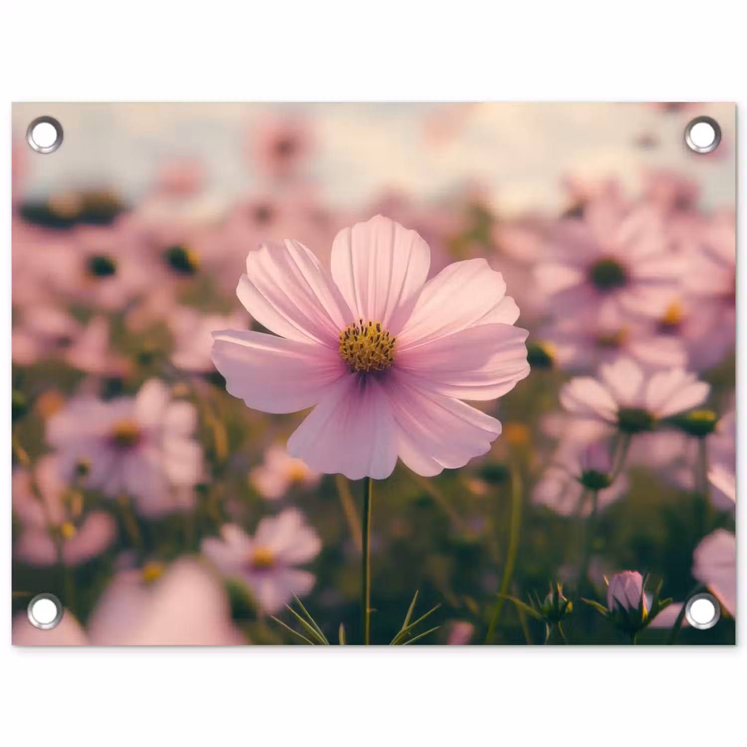 Bloemen - Paars - Wazig tuinposter los doek klein -3d