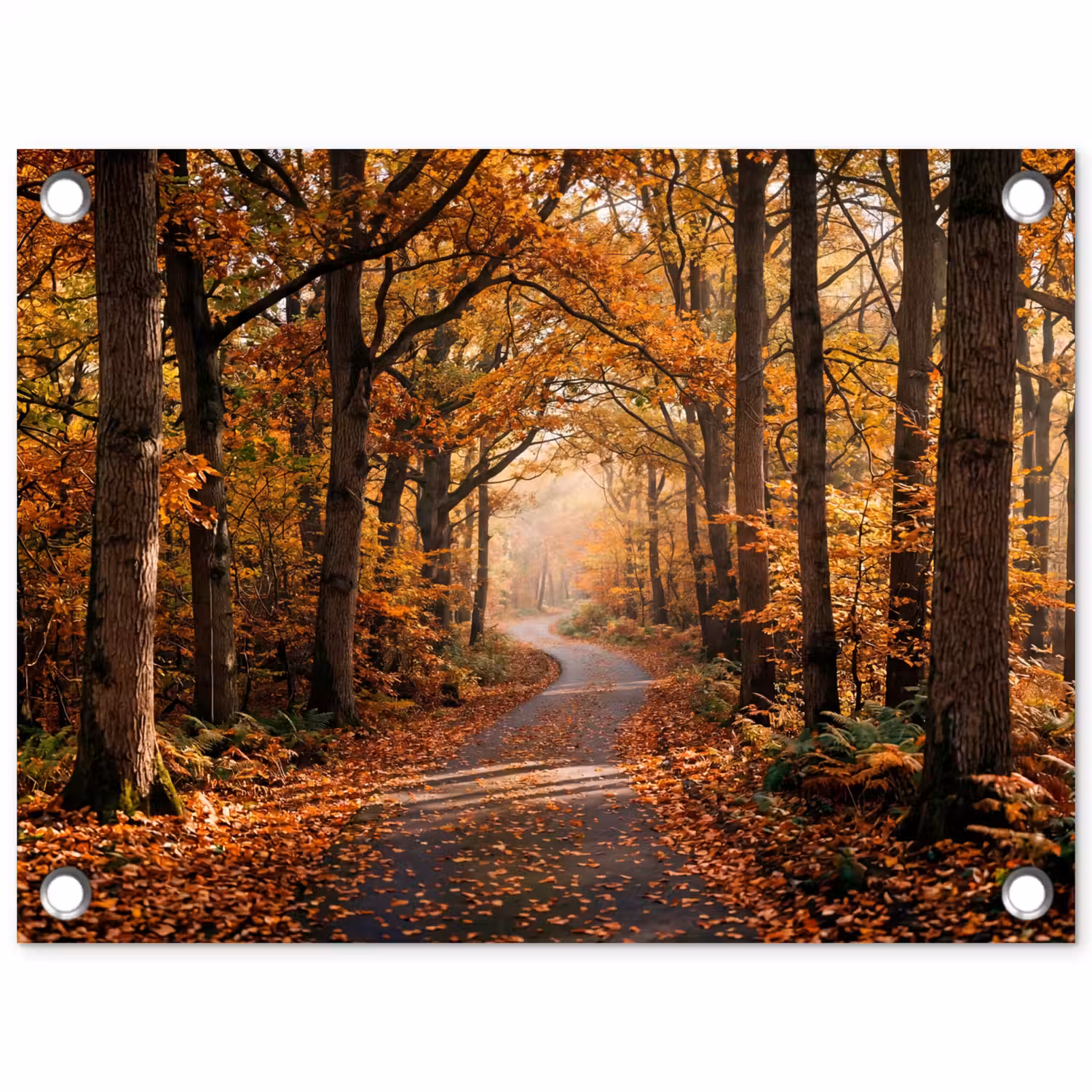 Bospad - Herfstbos - Bladeren - Oranje - Nostalgisch tuinposter los doek klein -3d