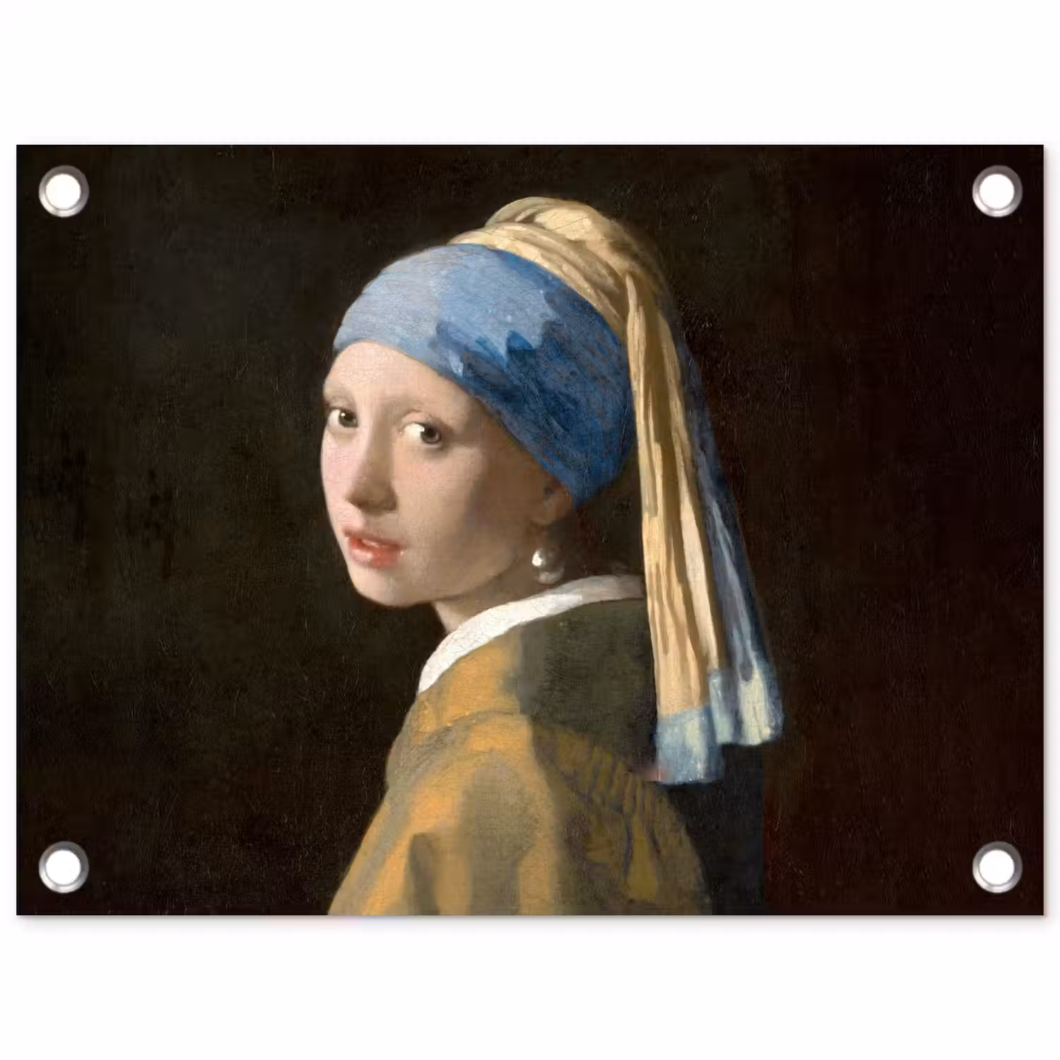 Meisje met de parel - Schilderij - Oude meesters - Vermeer tuinposter los doek klein -3d