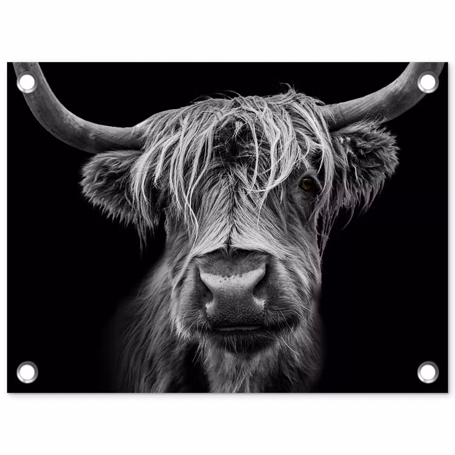 Hooglander in Zwart-Wit tuinposter los doek klein -3d