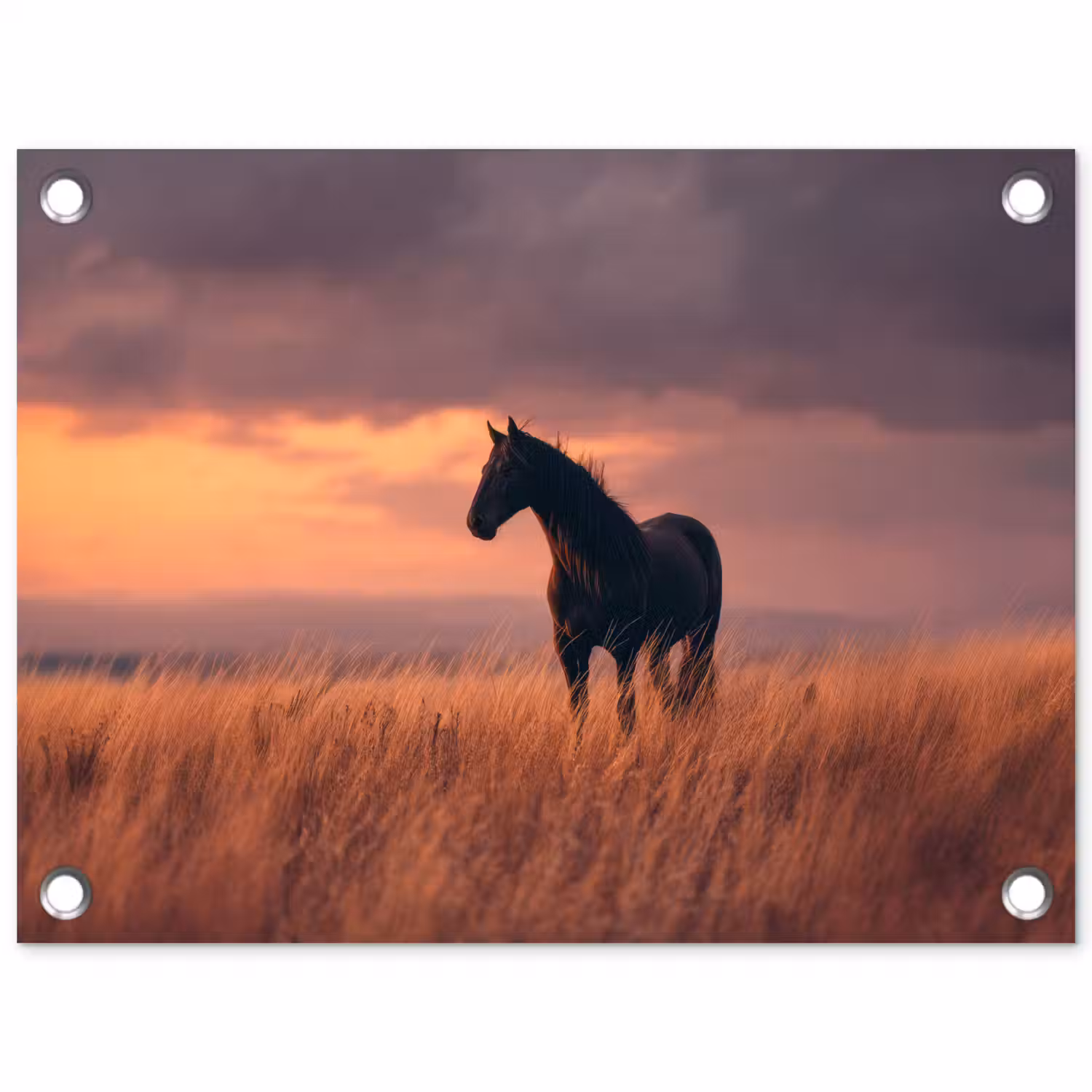 Paard - Wolken - Open veld tuinposter los doek klein -3d
