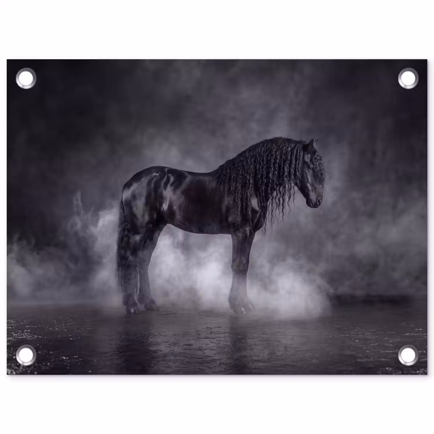 Paard - Magisch - Zwart tuinposter los doek klein -3d