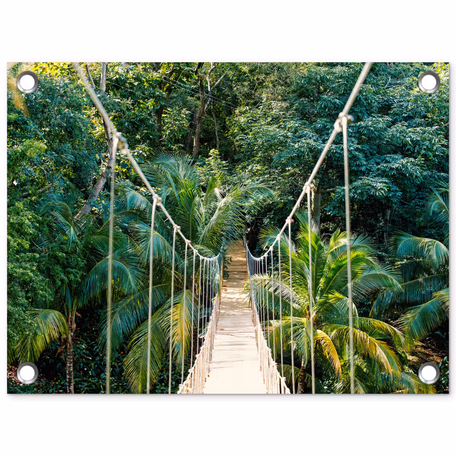 Jungle - Palmboom - Brug - Natuur - Planten tuinposter los doek klein -3d