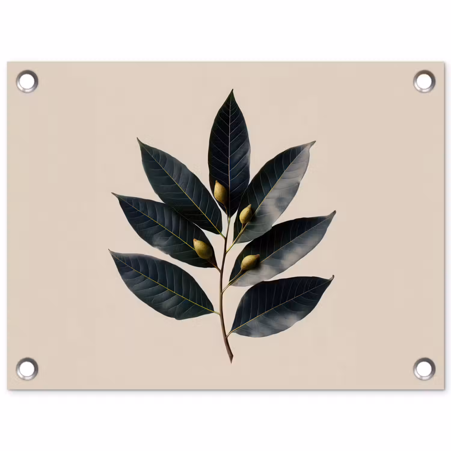 Laurierbladeren - Bloemknoppen - subtiel tuinposter los doek klein -3d