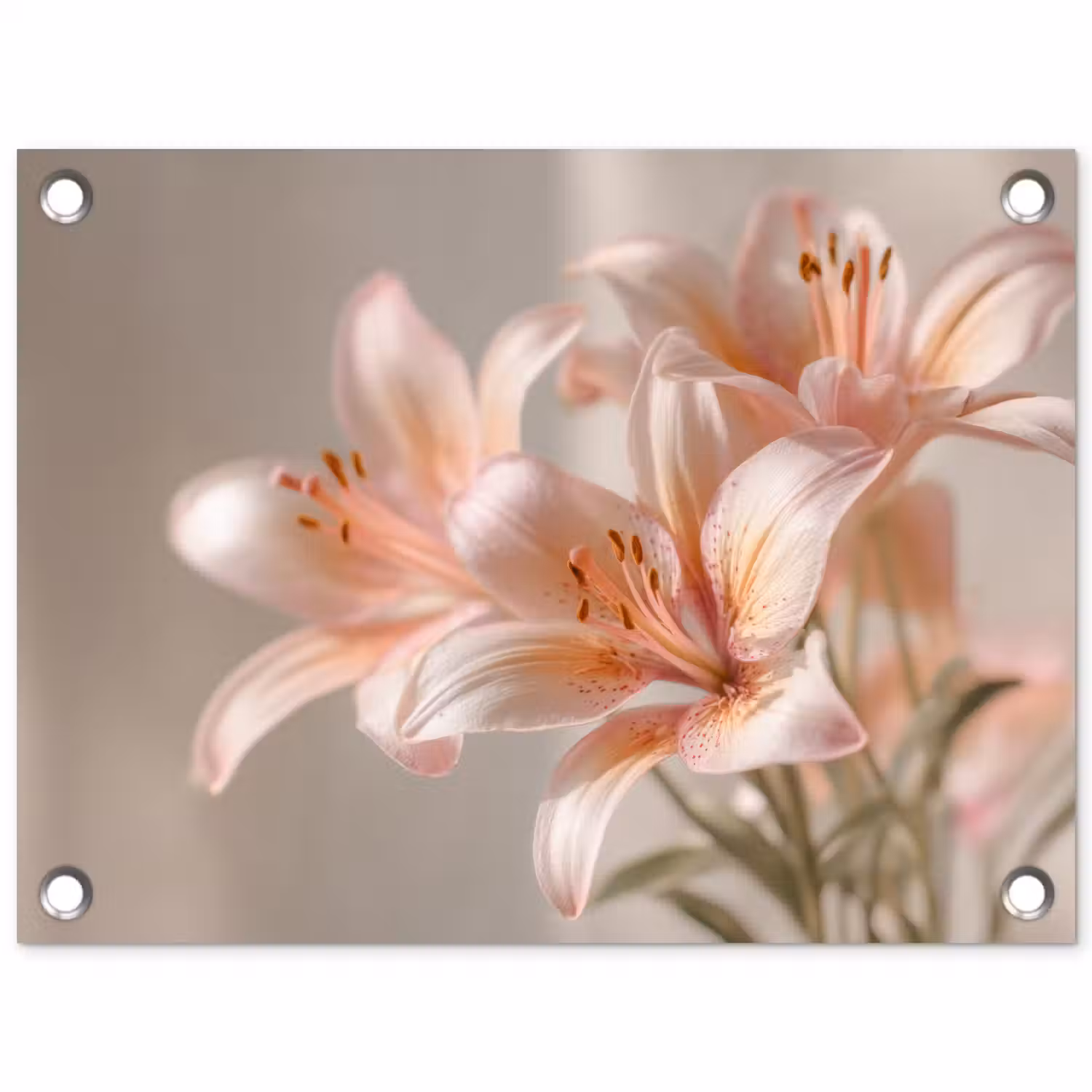 Lelies - Meeldraden - Roze - Wazig tuinposter los doek klein -3d