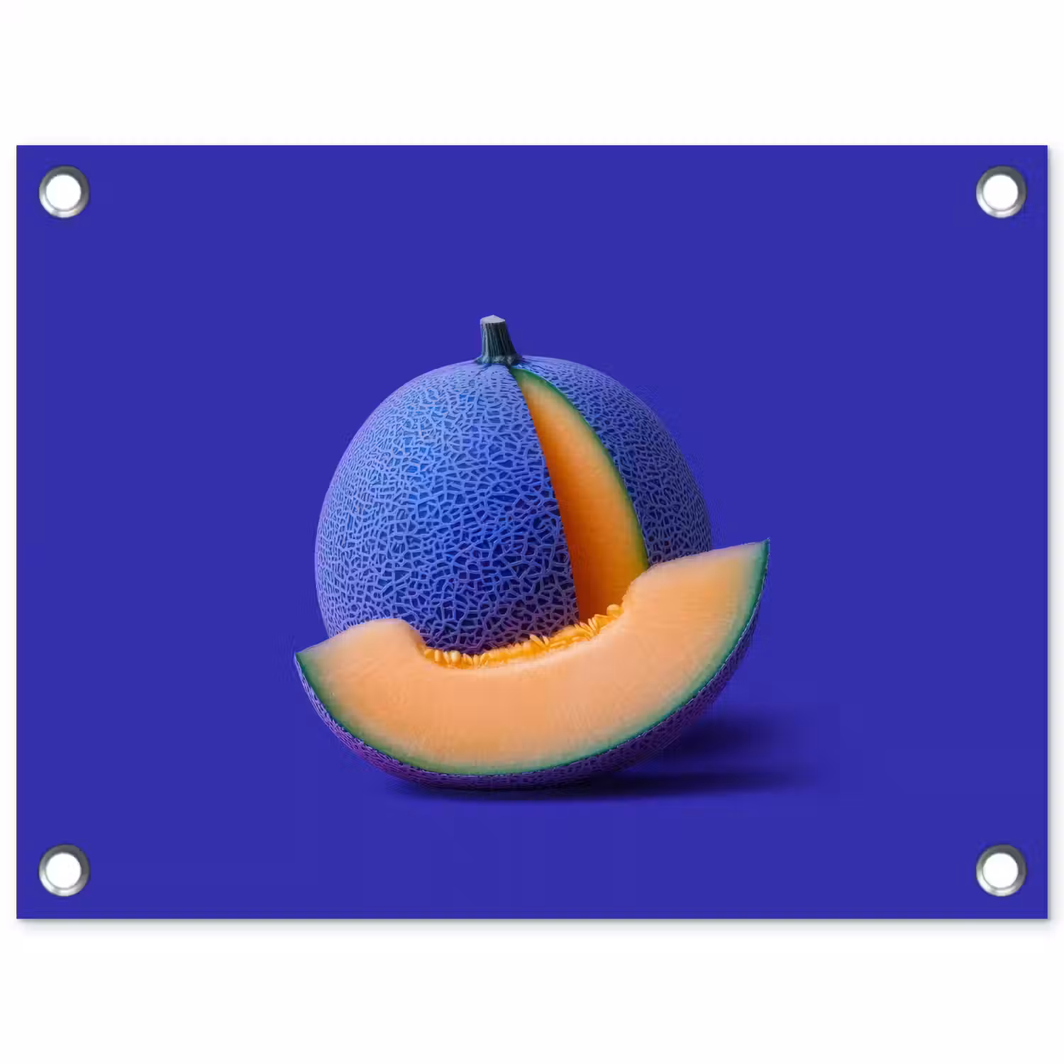 Meloen - Blauw - Oranje - Kunstzinnig tuinposter los doek klein -3d