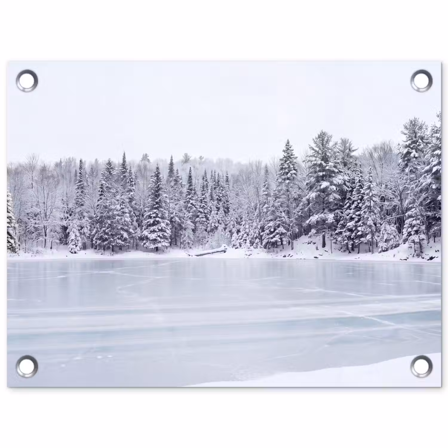 Meer - Dennen - IJs - Winter - Rustgevend tuinposter los doek klein -3d