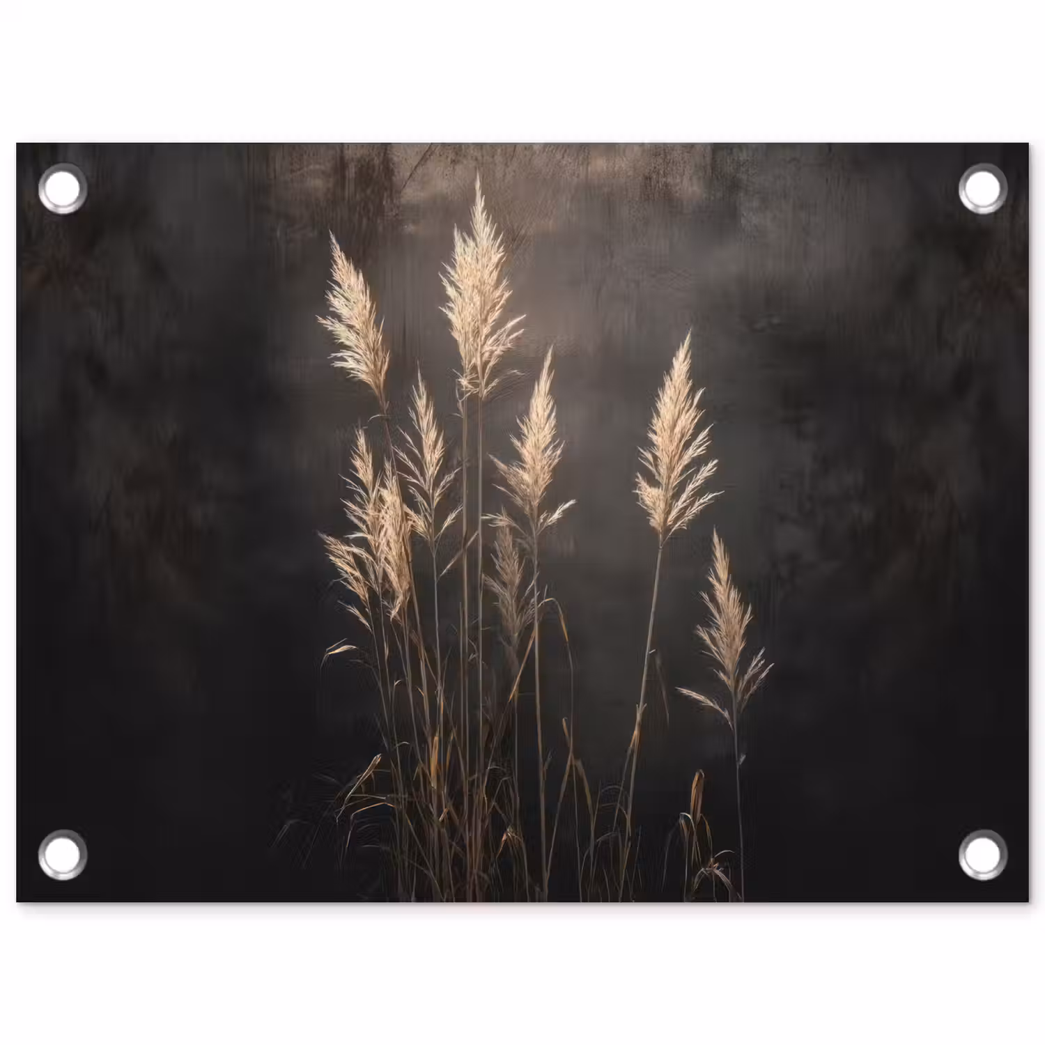 Siergras - Pluimen - Verlichting - Zwart tuinposter los doek klein -3d
