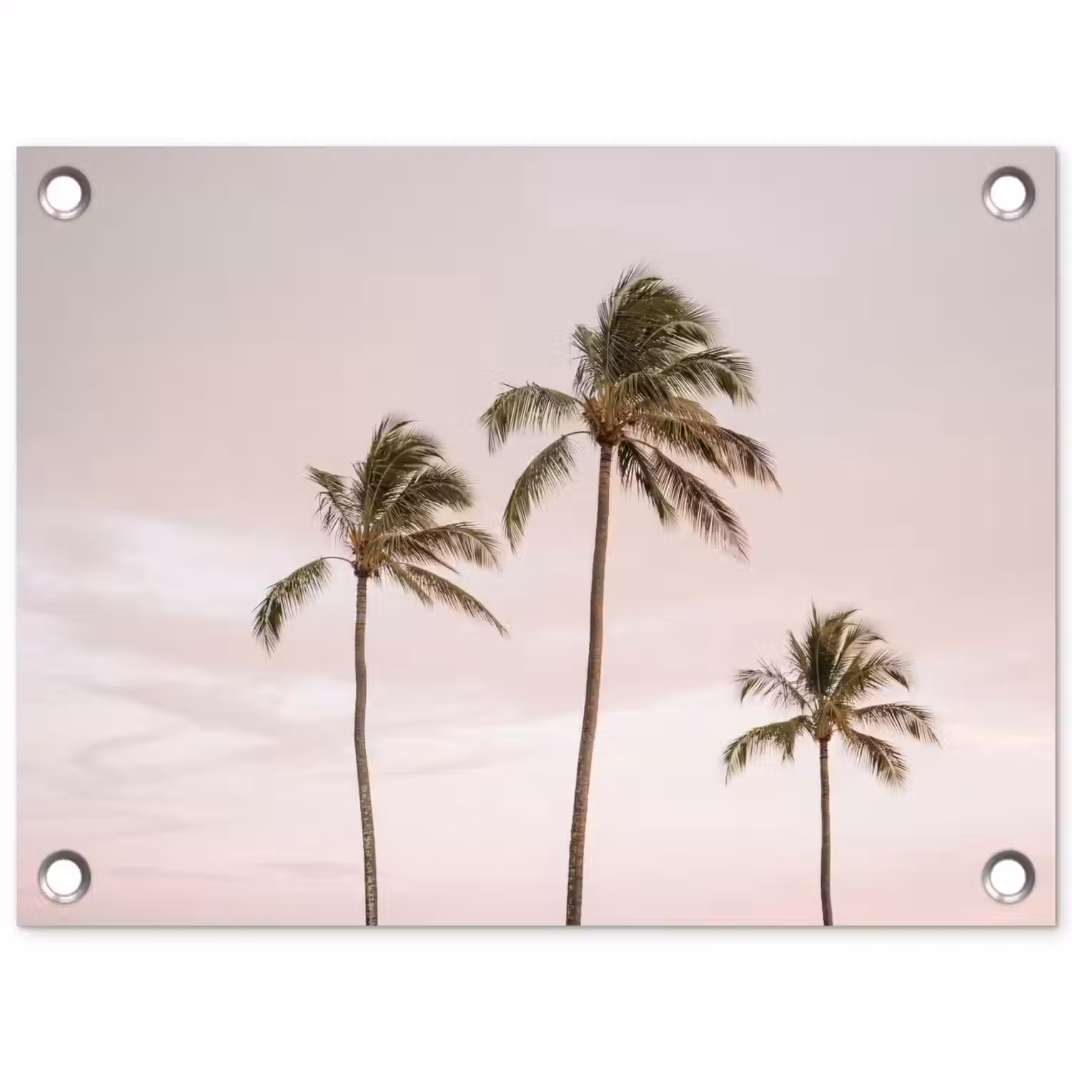 Palmbomen - Zonsondergang - Roze tuinposter los doek klein -3d