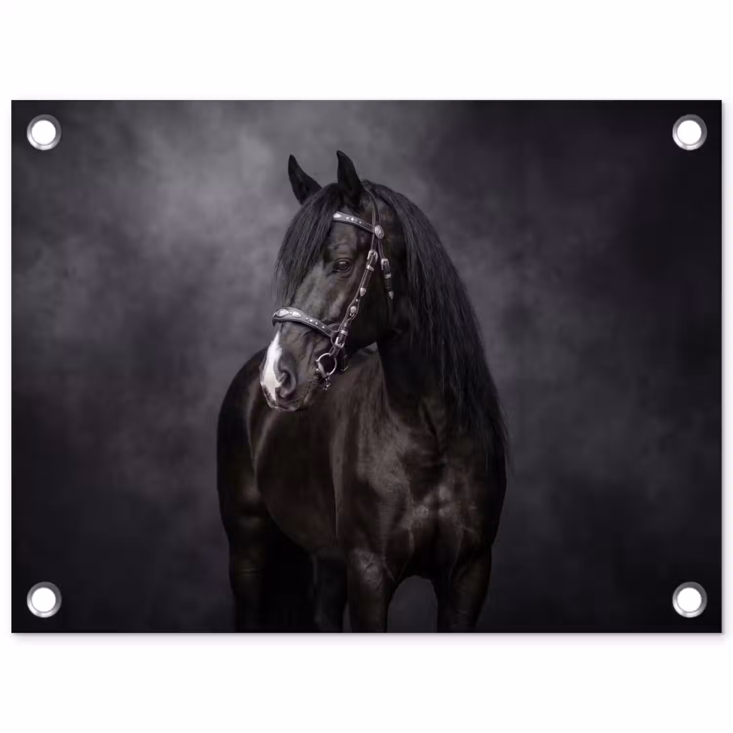 Portret - Paard - Zwart tuinposter los doek klein -3d