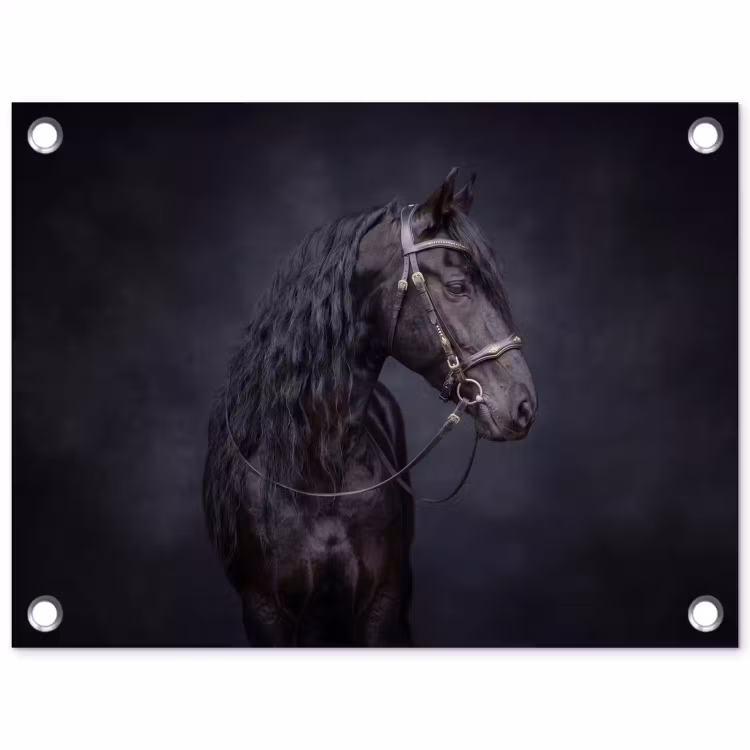 Portret - Paard - Donker tuinposter los doek klein -3d