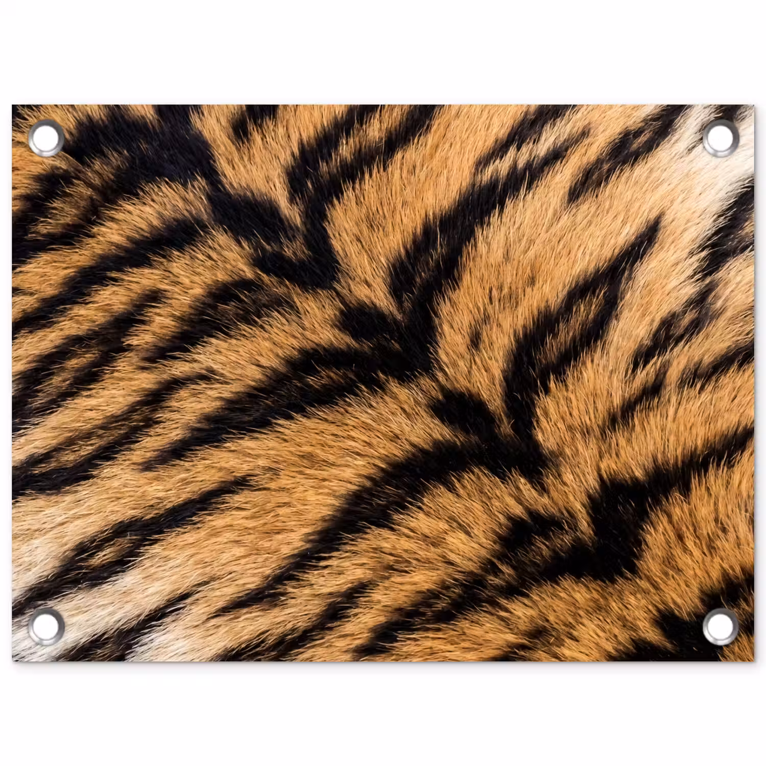 Realistisch - Tijgervacht - Zwart tuinposter los doek klein -3d
