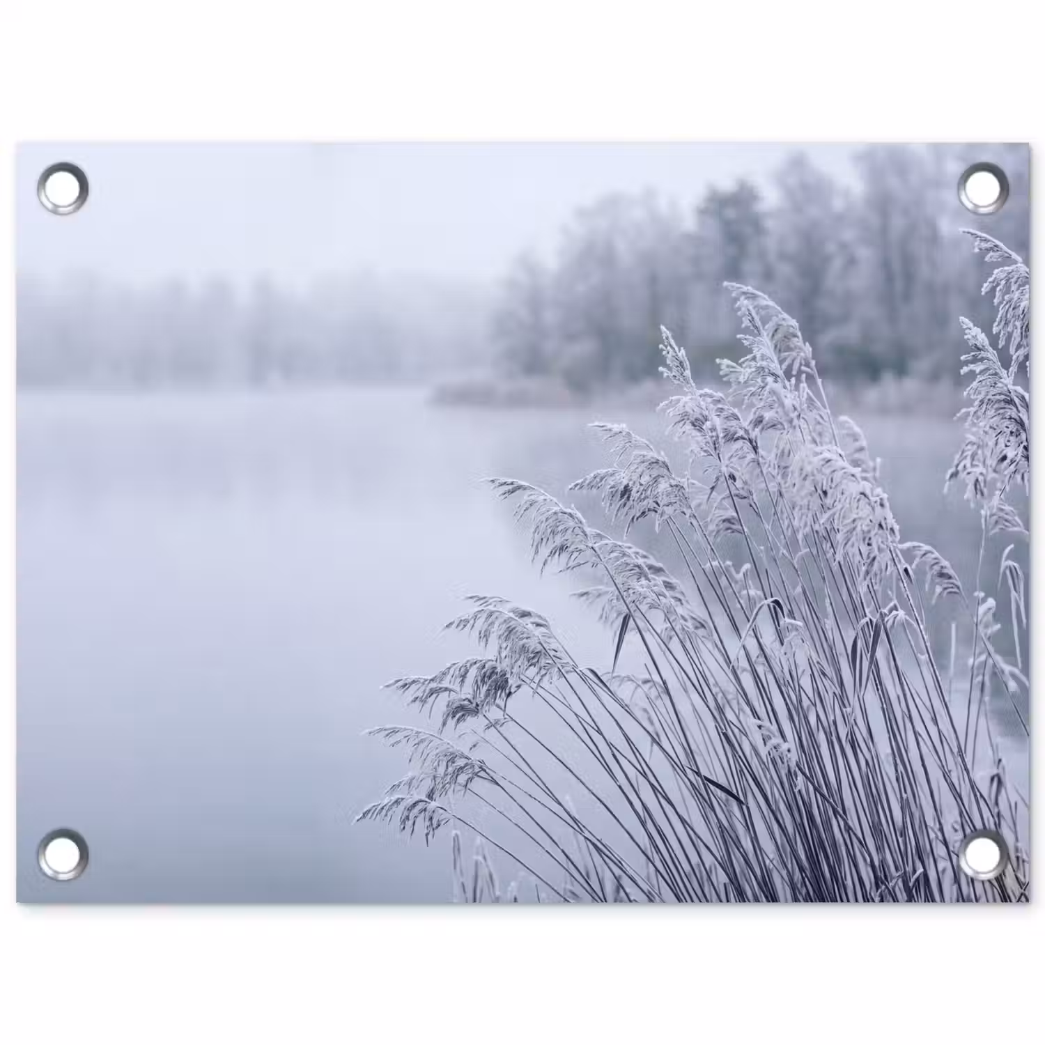 Riet - Bevroren - Winter - Natuur tuinposter los doek klein -3d