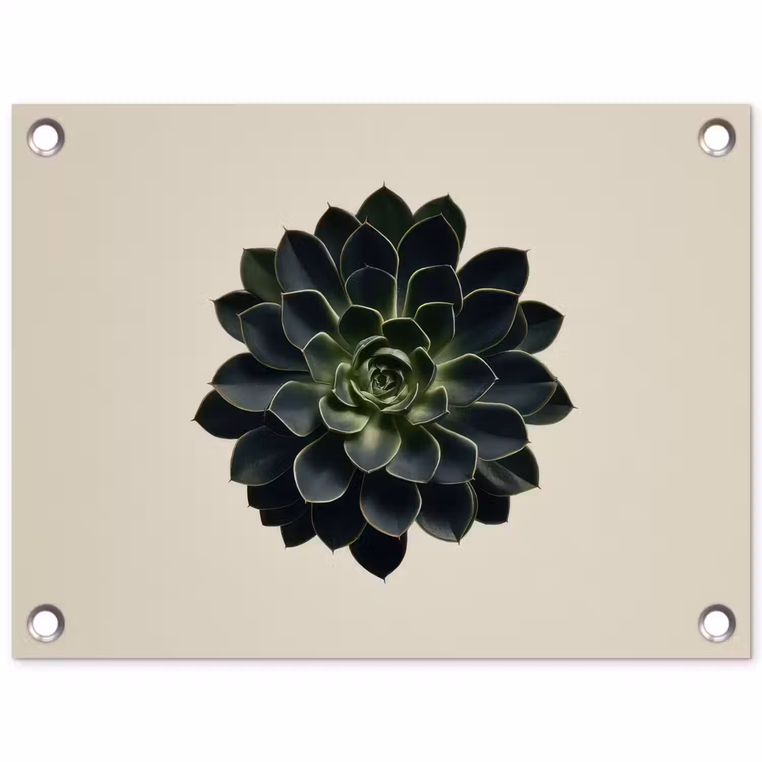 Rozet - Cirkelvormig - Donkergroen tuinposter los doek klein -3d